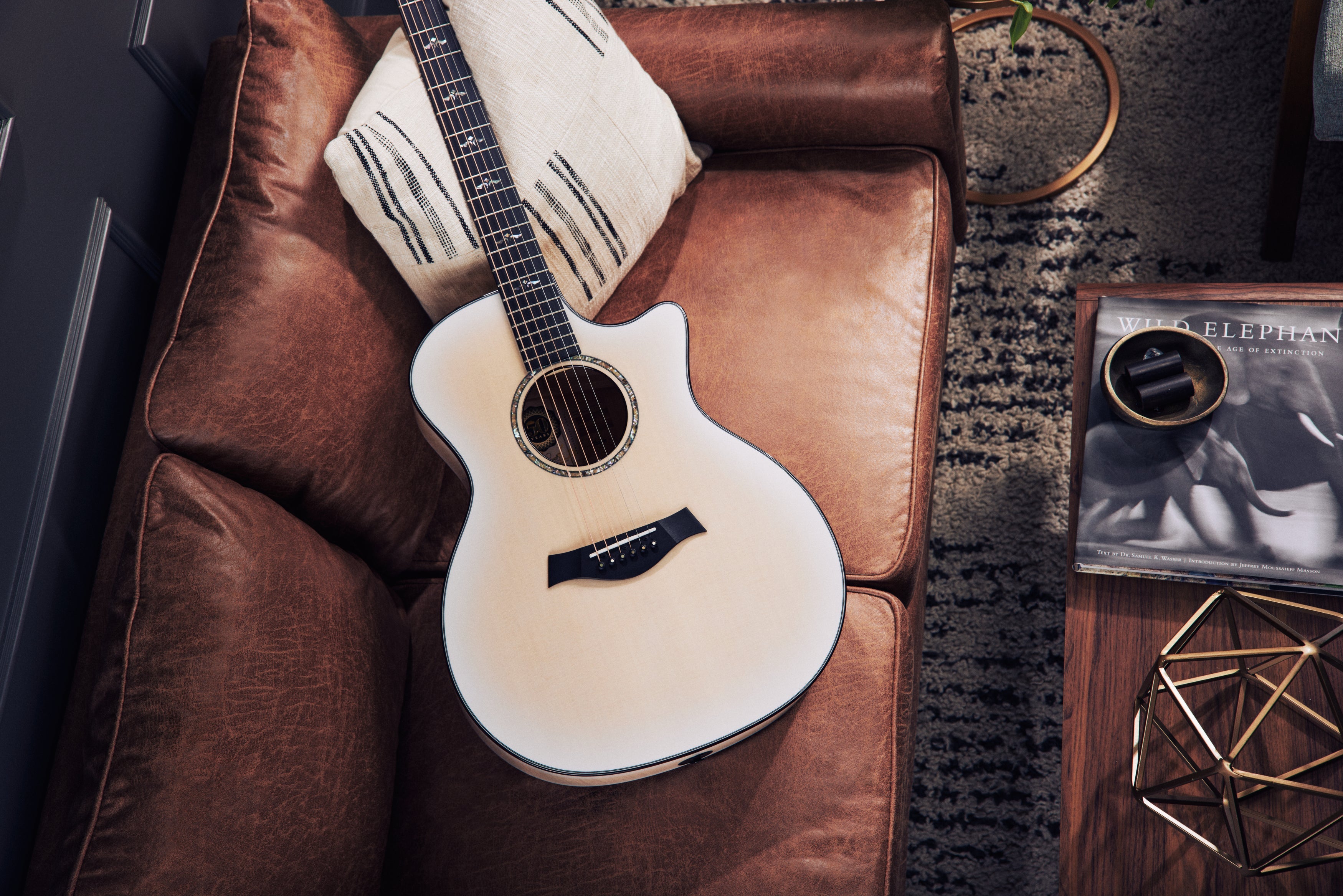 Taylor LTD Series | Haggerty's Music Inc
