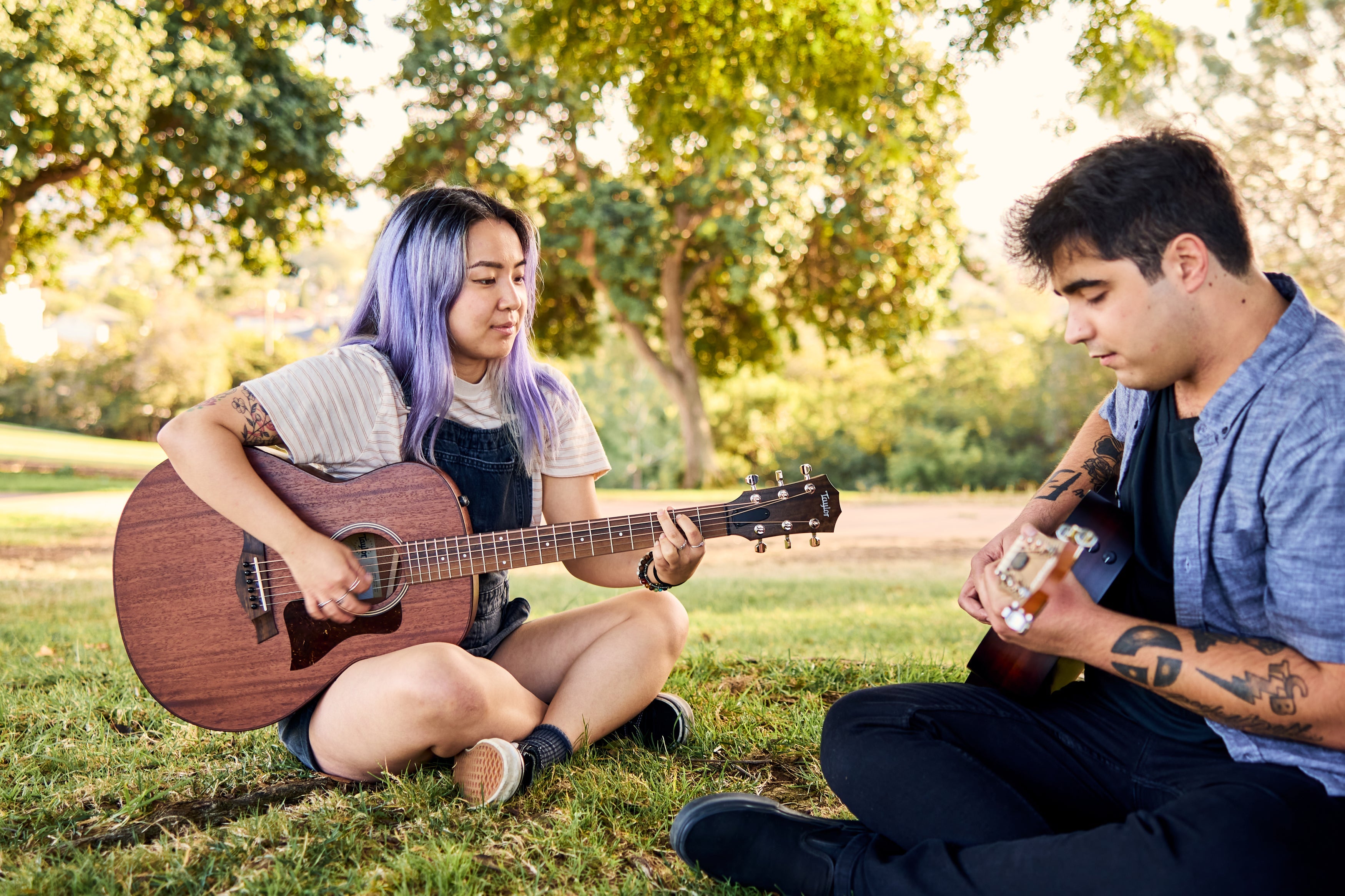 Taylor Beginner Guitars