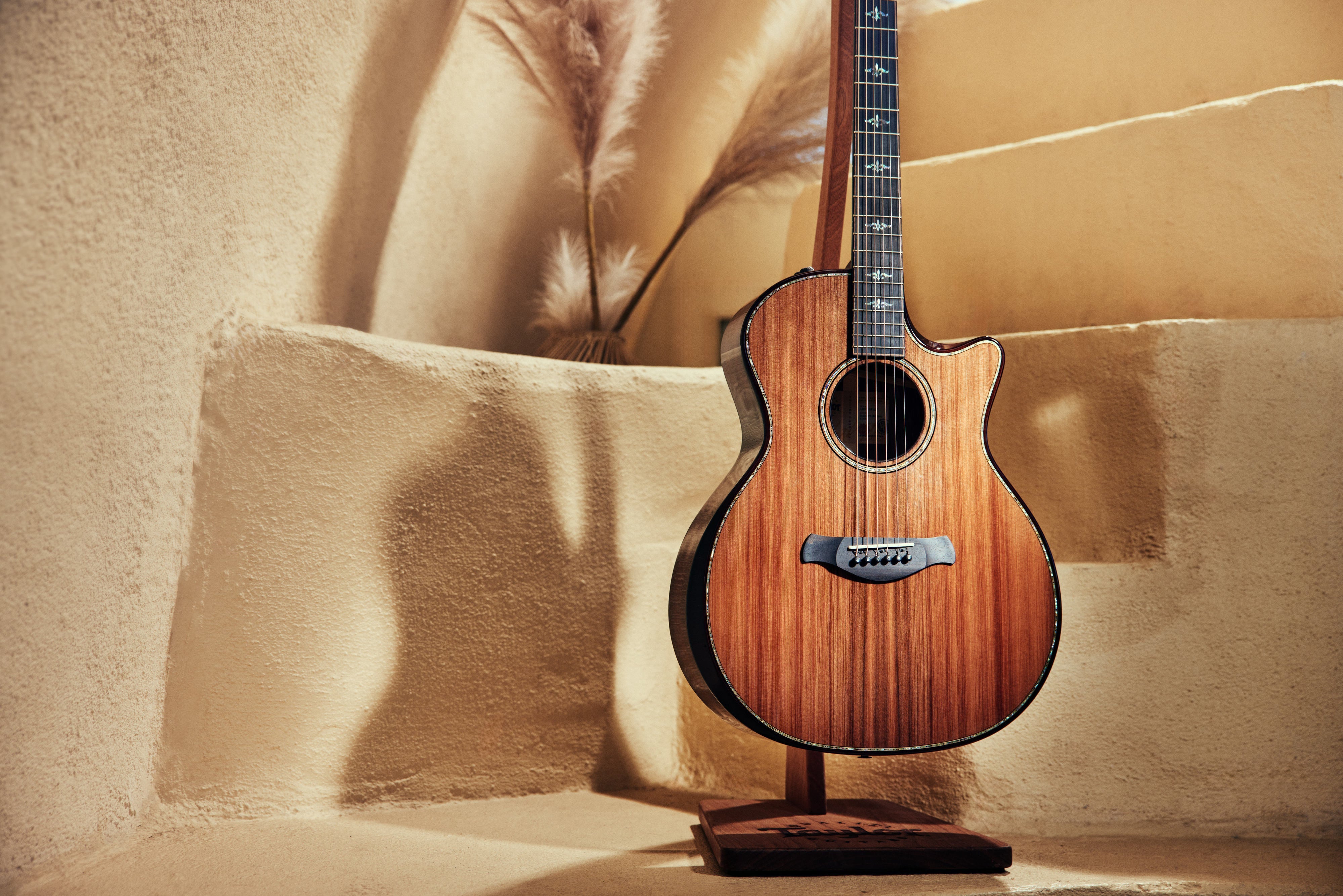 Taylor Builder's Edition Series | Haggerty's Music Inc