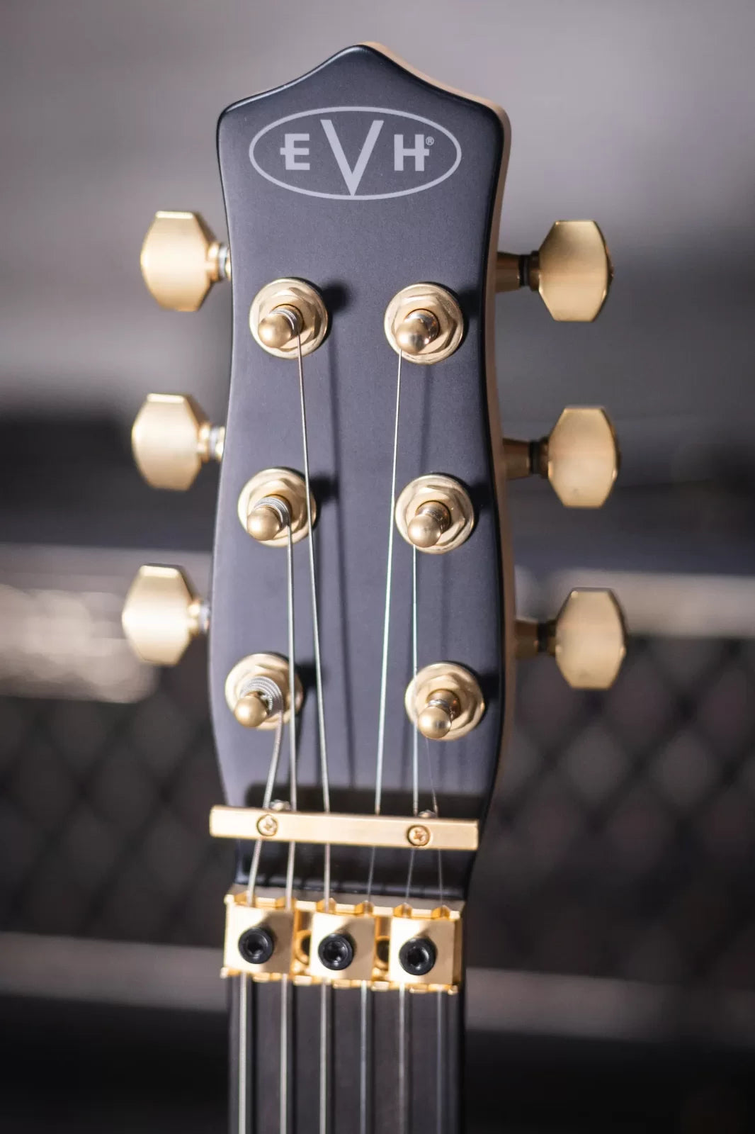 EVH Limited Edition Star, Ebony Fingerboard - Stealth Black with Gold Hardware and Star/Shark Economy Gig Bag - Floor Model