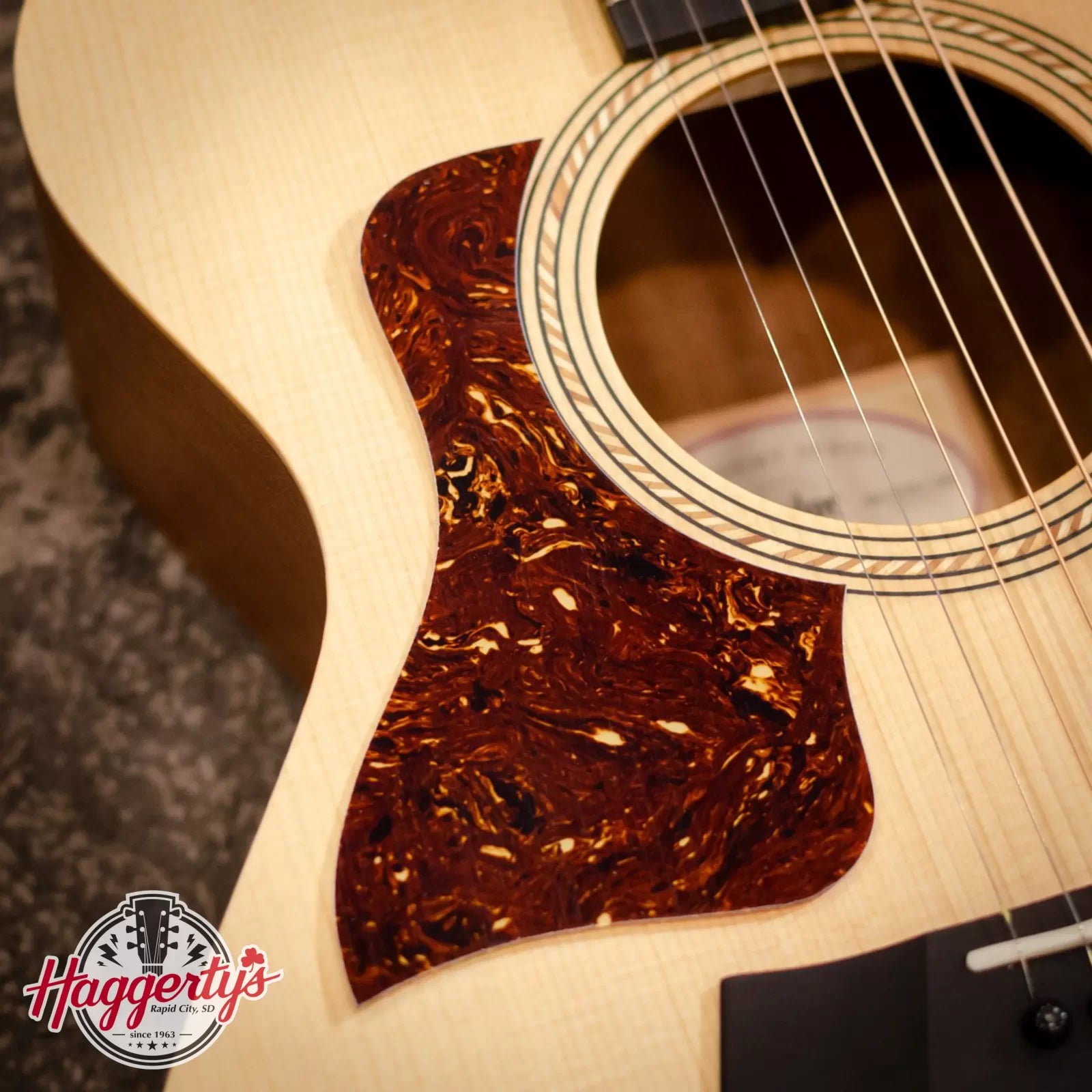 Taylor Academy 12 Pickguard - Left Handed 5" Tortoiseshell