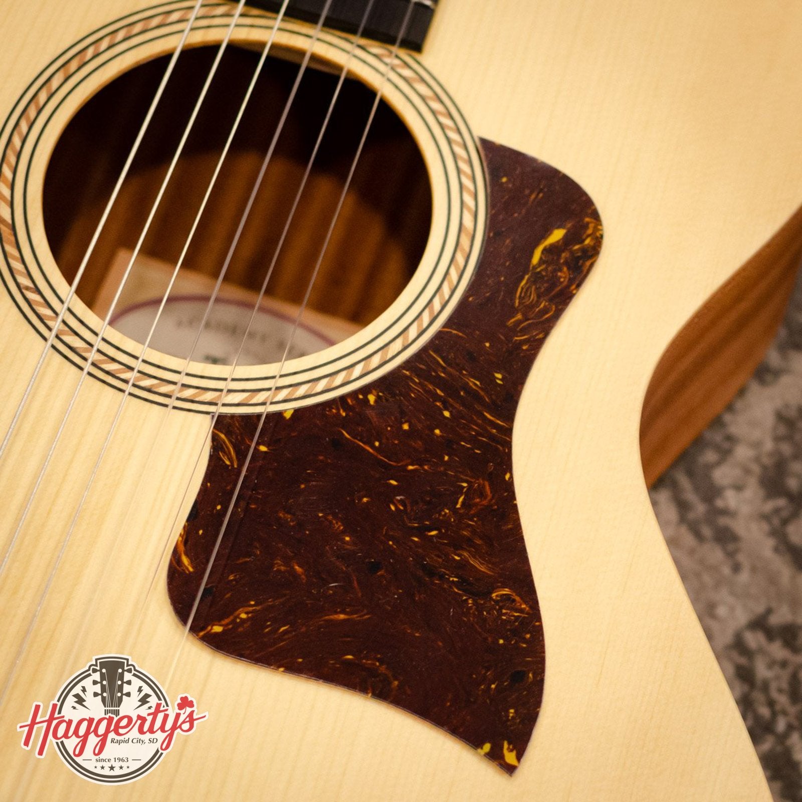Taylor Academy 12 Nylon Pickguard - Right Handed 4-7/8" Tortoise