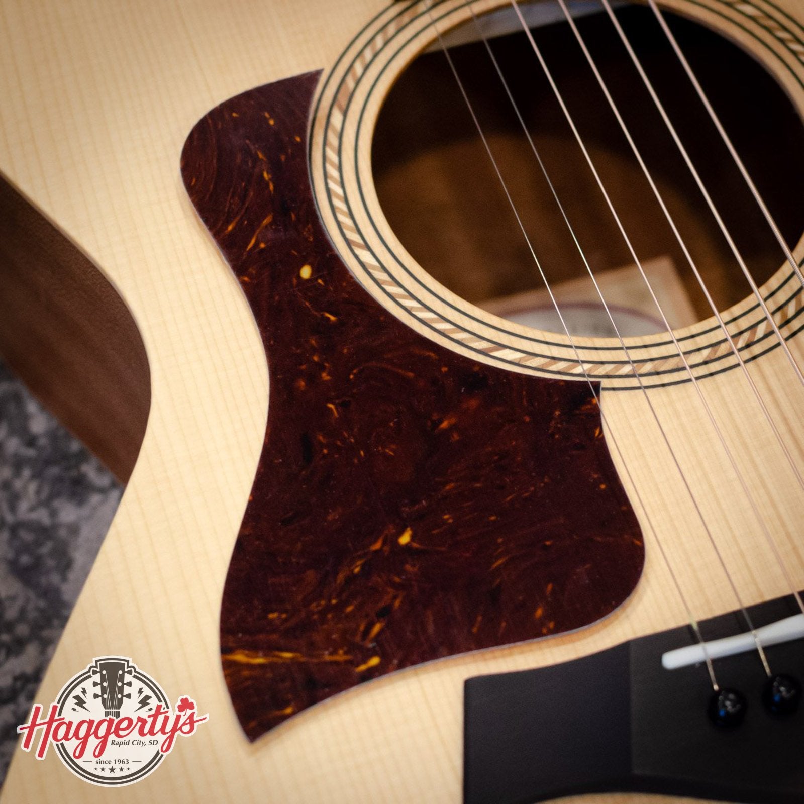 Taylor Academy 12 Nylon Pickguard - Left Handed 4-7/8" Tortoise
