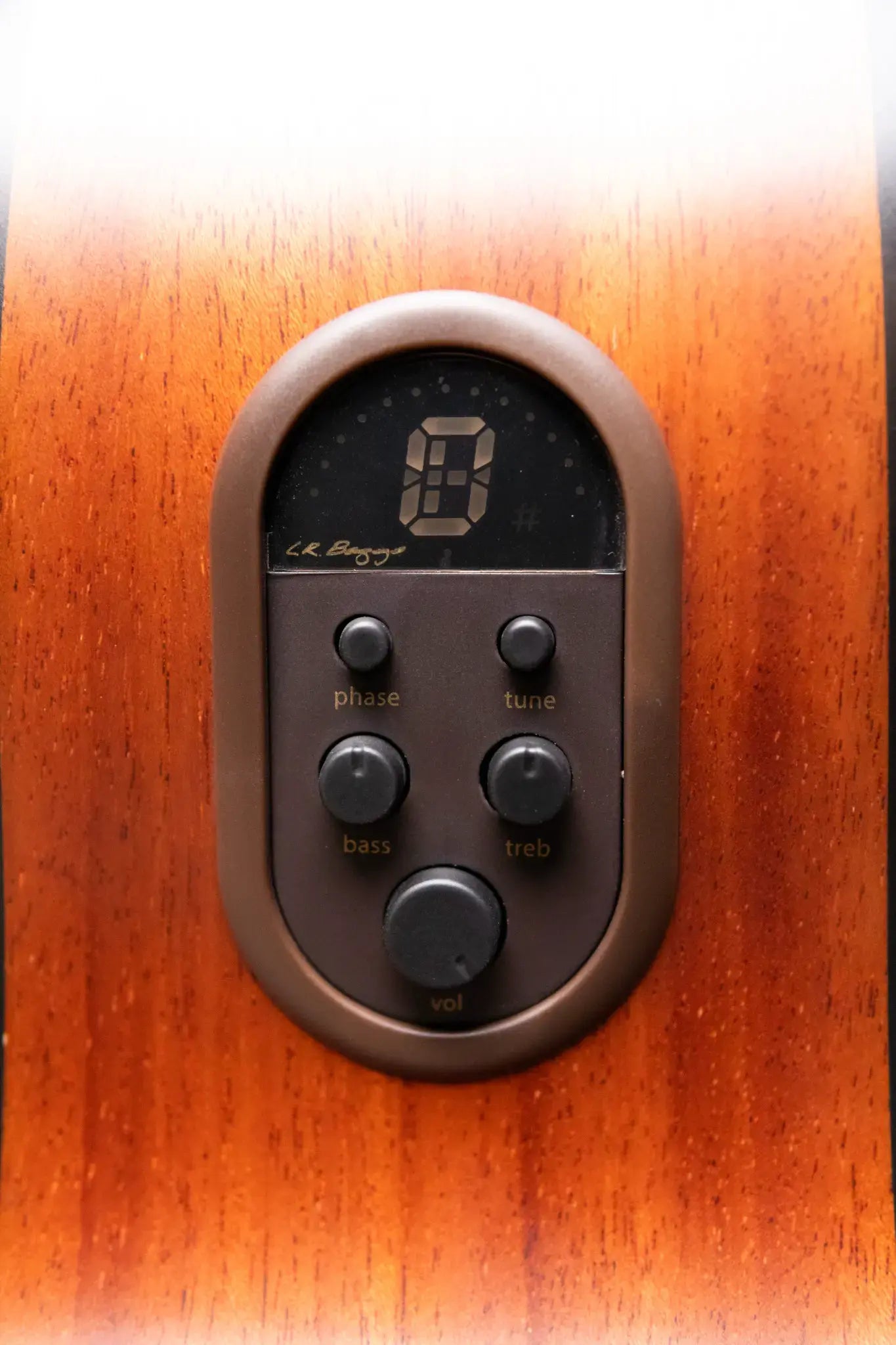 Alvarez AP66e Artist Series Acoustic/Electric Guitar - Shadowburst