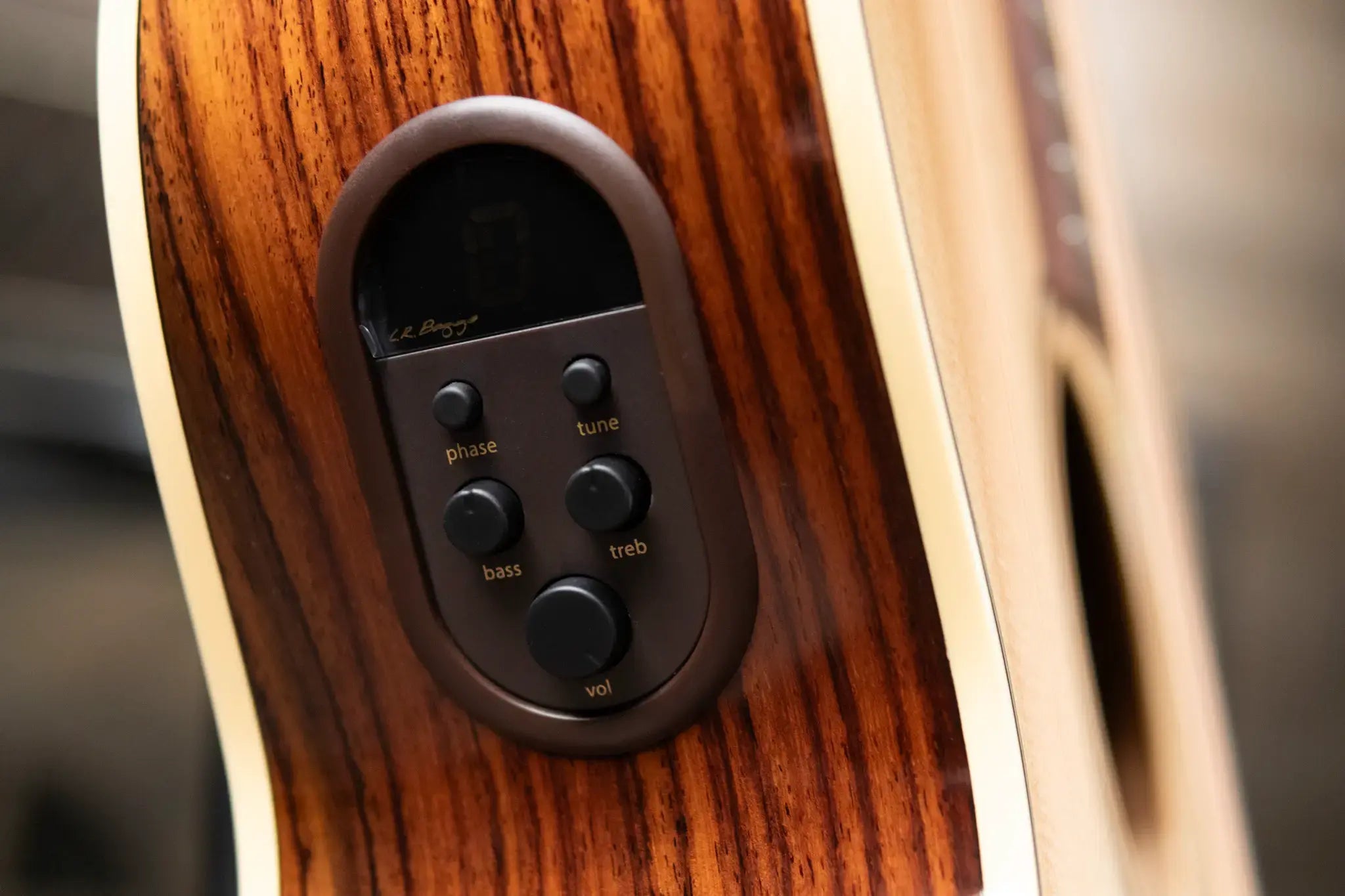 Alvarez Yairi FY70ce Acoustic/Electric Guitar with Hardshell Case