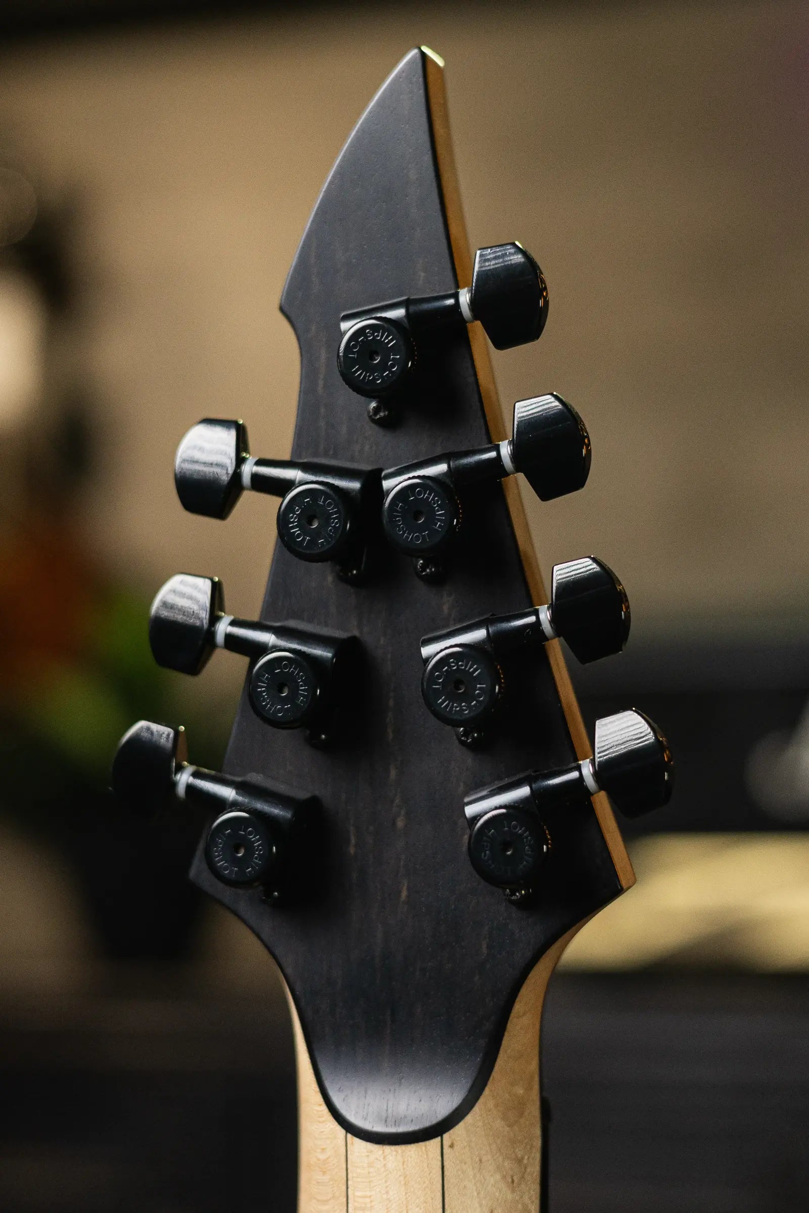 Carillion Polaris C7 Custom 7-String Guitar – Owned by Misha Mansoor (Periphery) – With Hardshell Case - USED