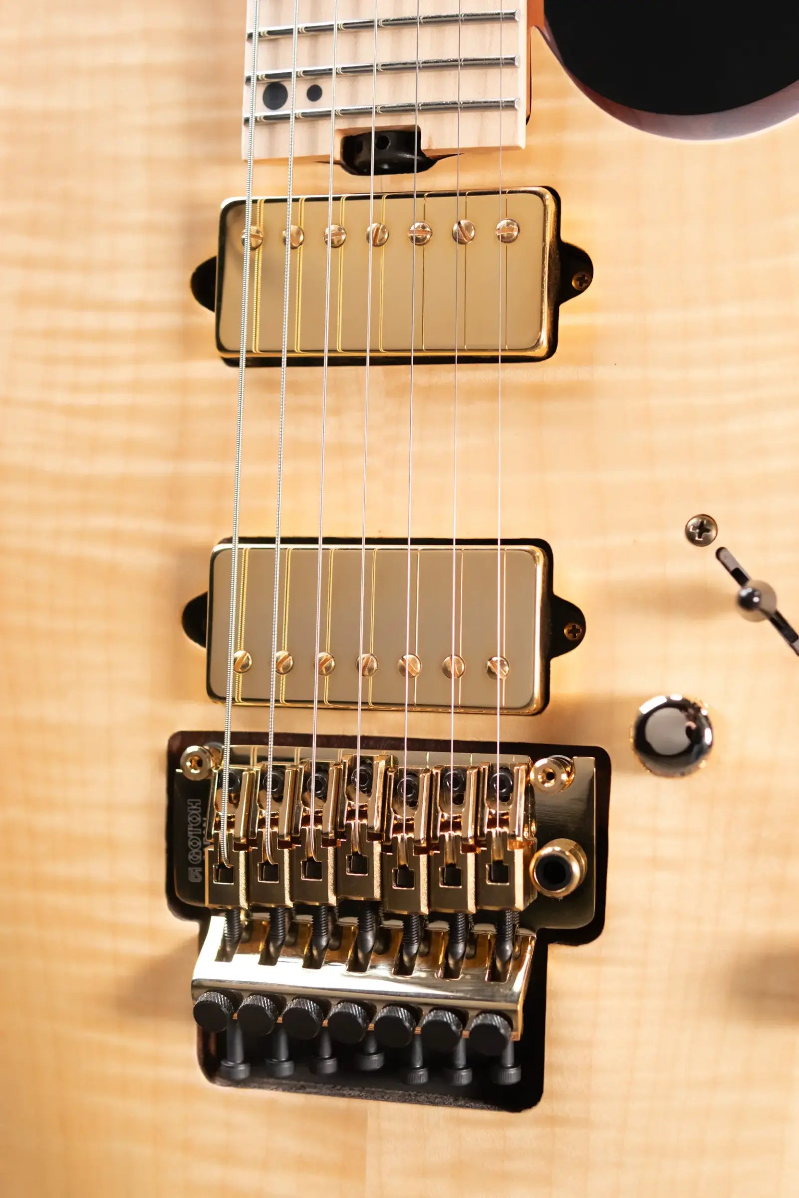 Charvel Angel Vivaldi Signature Pro-Mod DK24 GT7 HH, Maple Fingerboard, Nova-7 Electric Guitar - Natural with Gig Bag