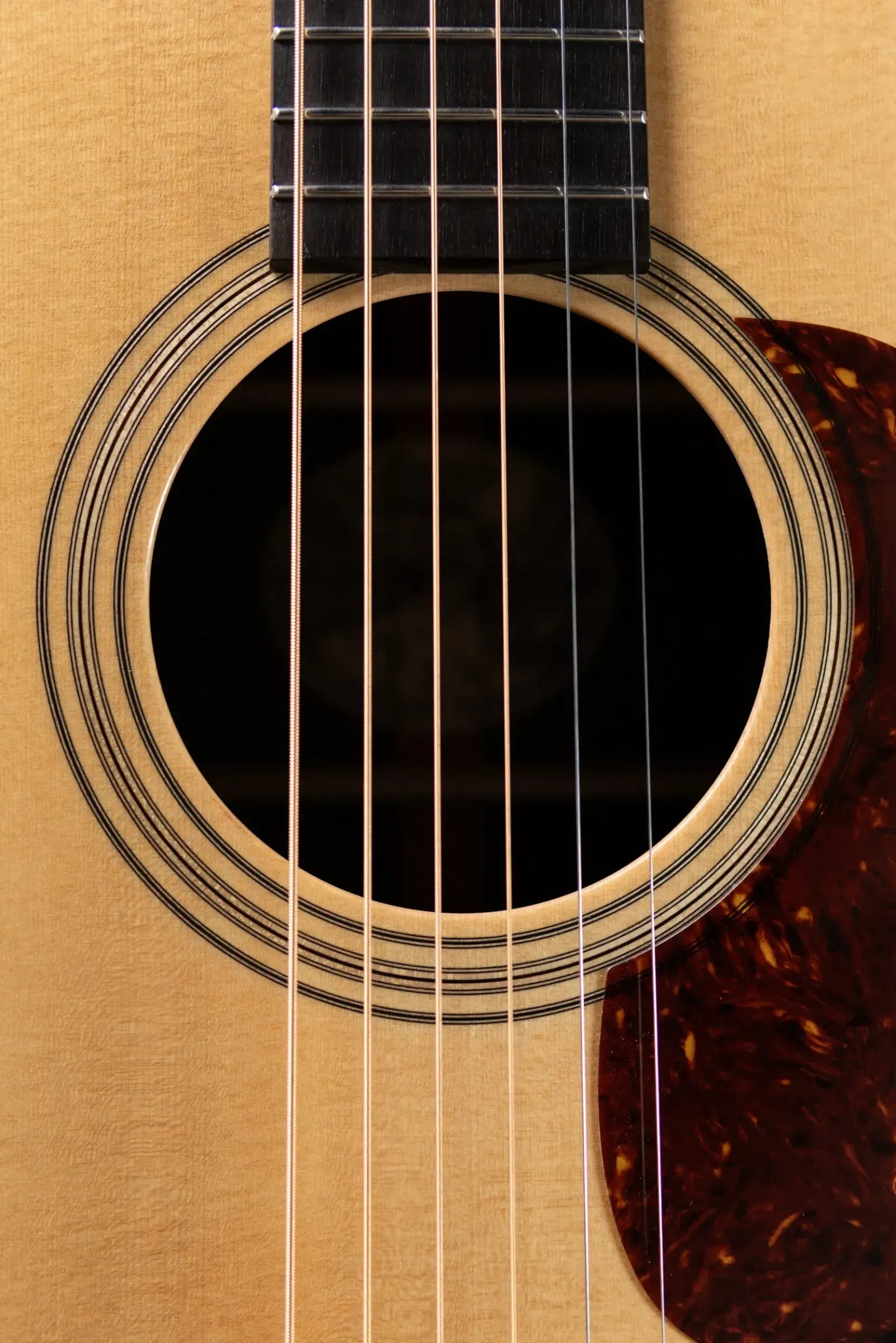 Collings D2H TS Acoustic Guitar - Natural with Hardshell Case - Used