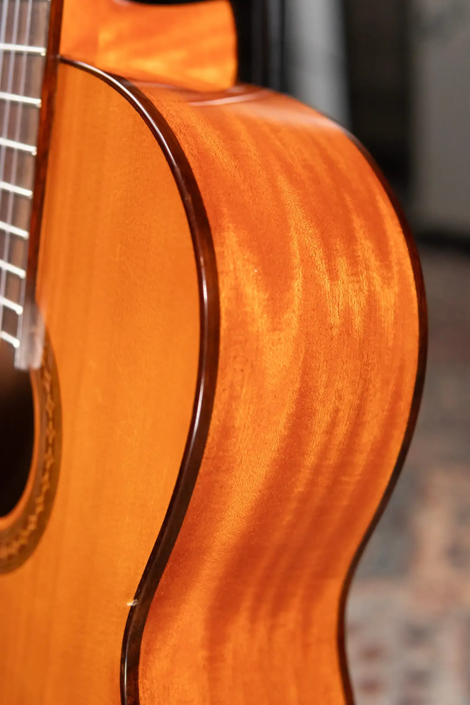 Cordoba C5 Classical Acoustic Guitar with Gig Bag - Used