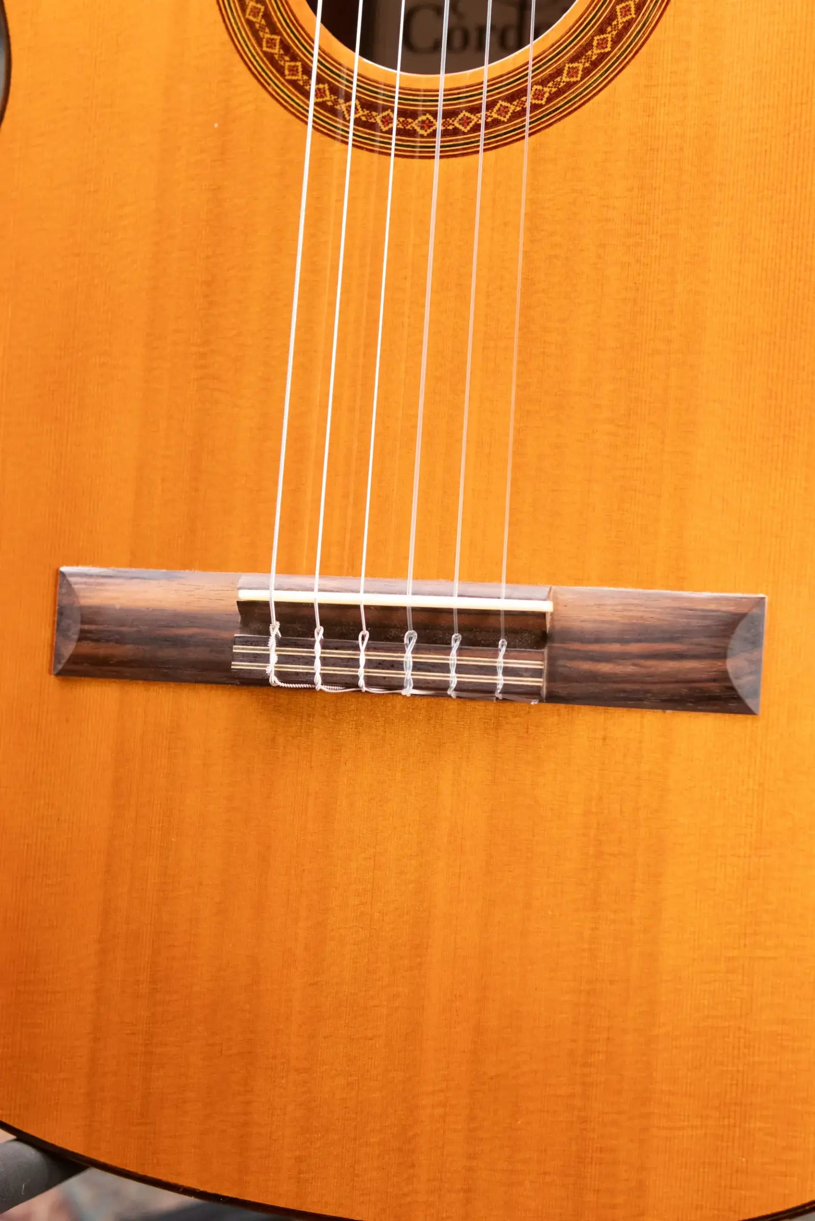 Cordoba C5 Classical Acoustic Guitar with Gig Bag - Used