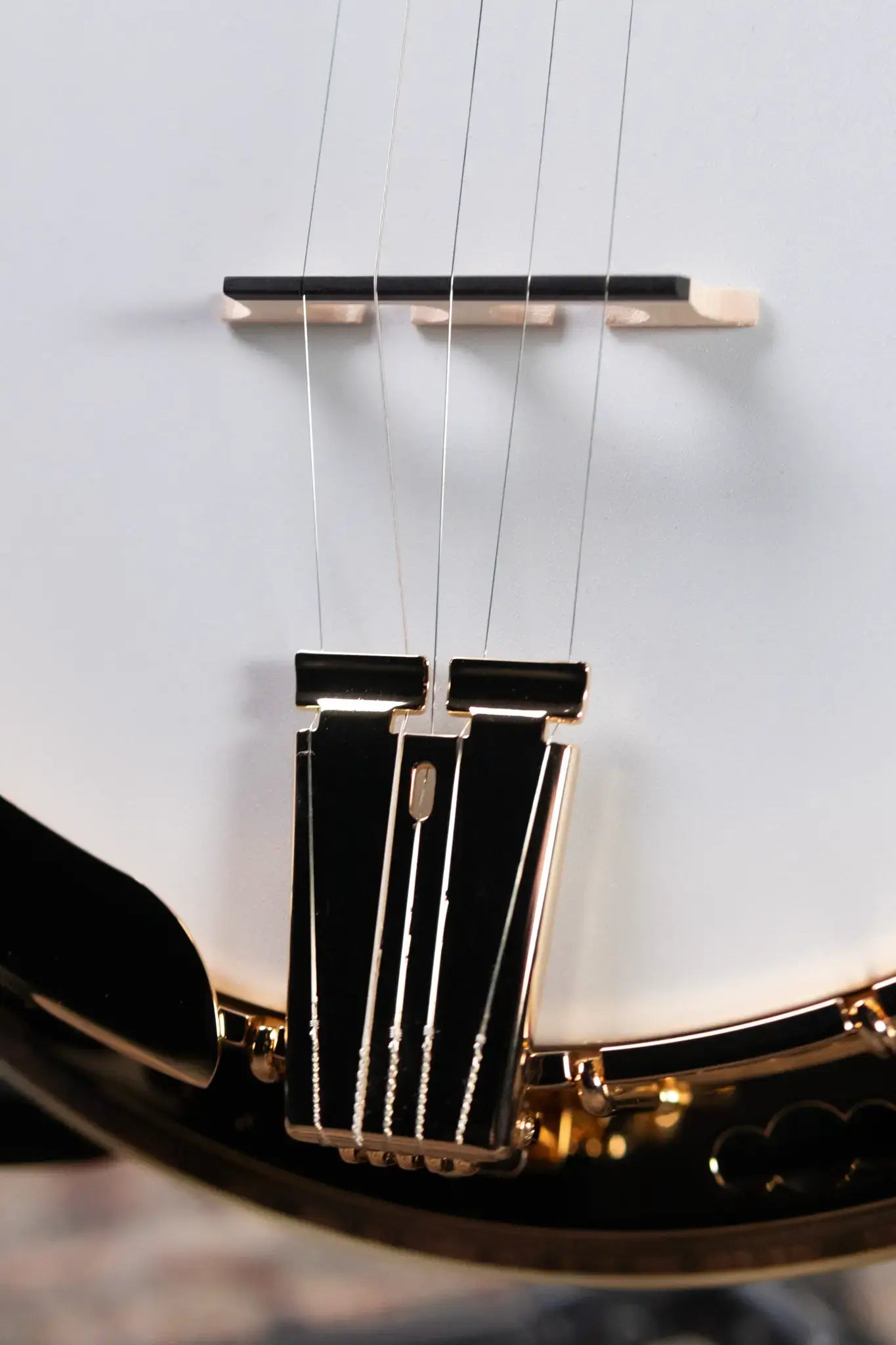 Deering 50th Anniversary Limited Edition Banjo with Hardshell Case