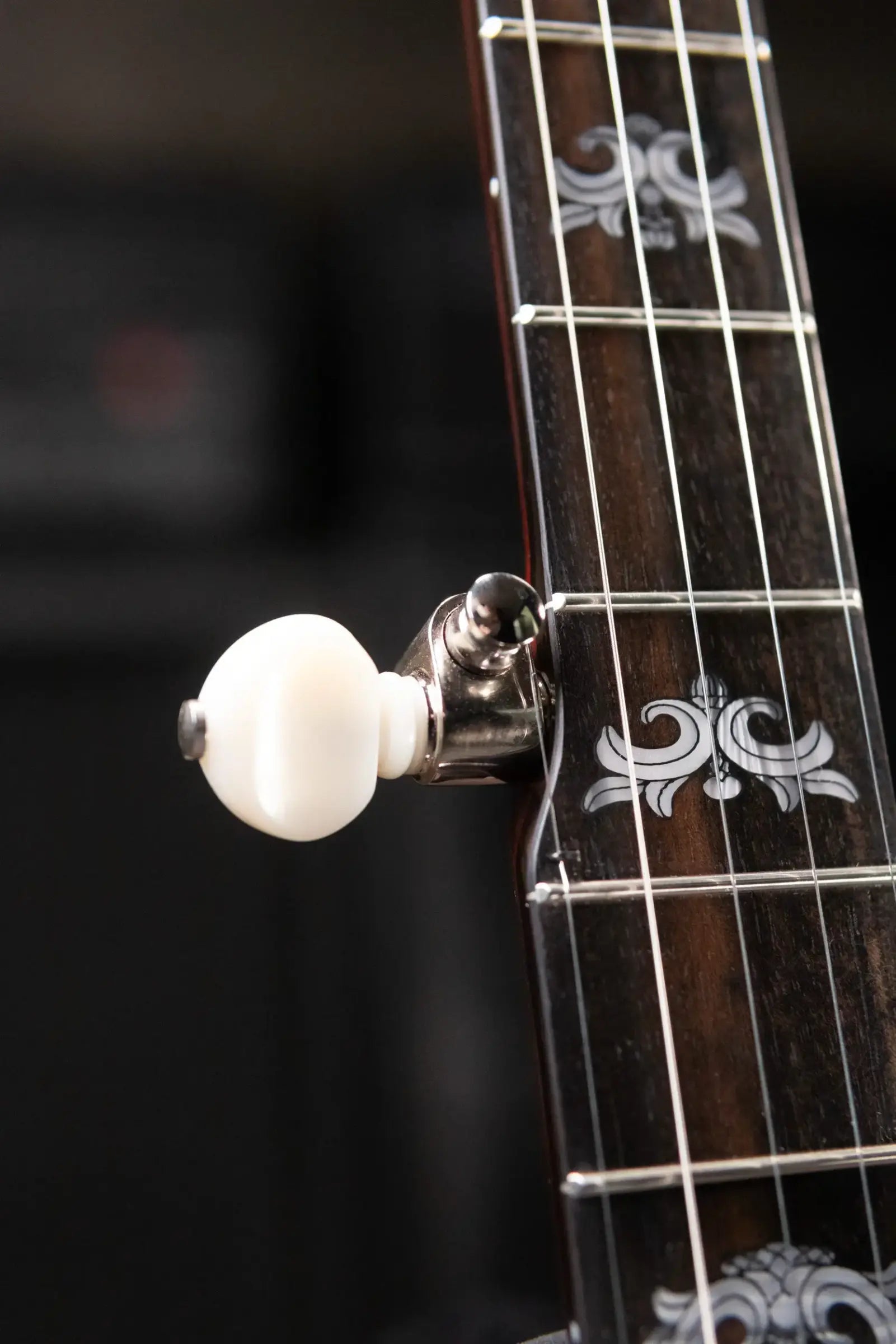 Deering Eagle II 5-String Banjo with Hardshell Case