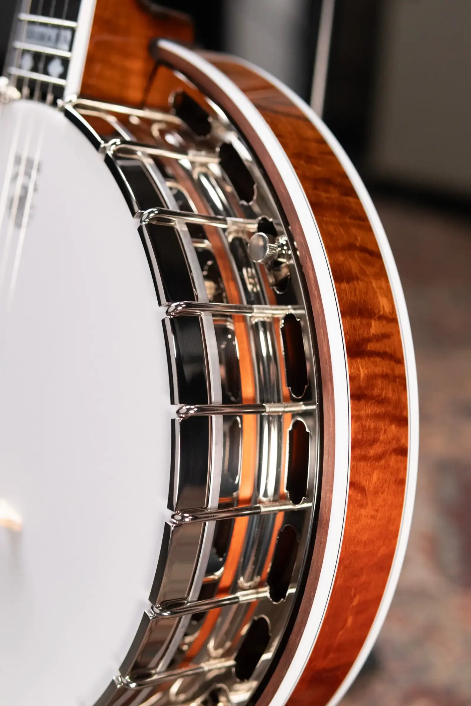 Deering Golden Era 5-String Banjo with Hardshell Case