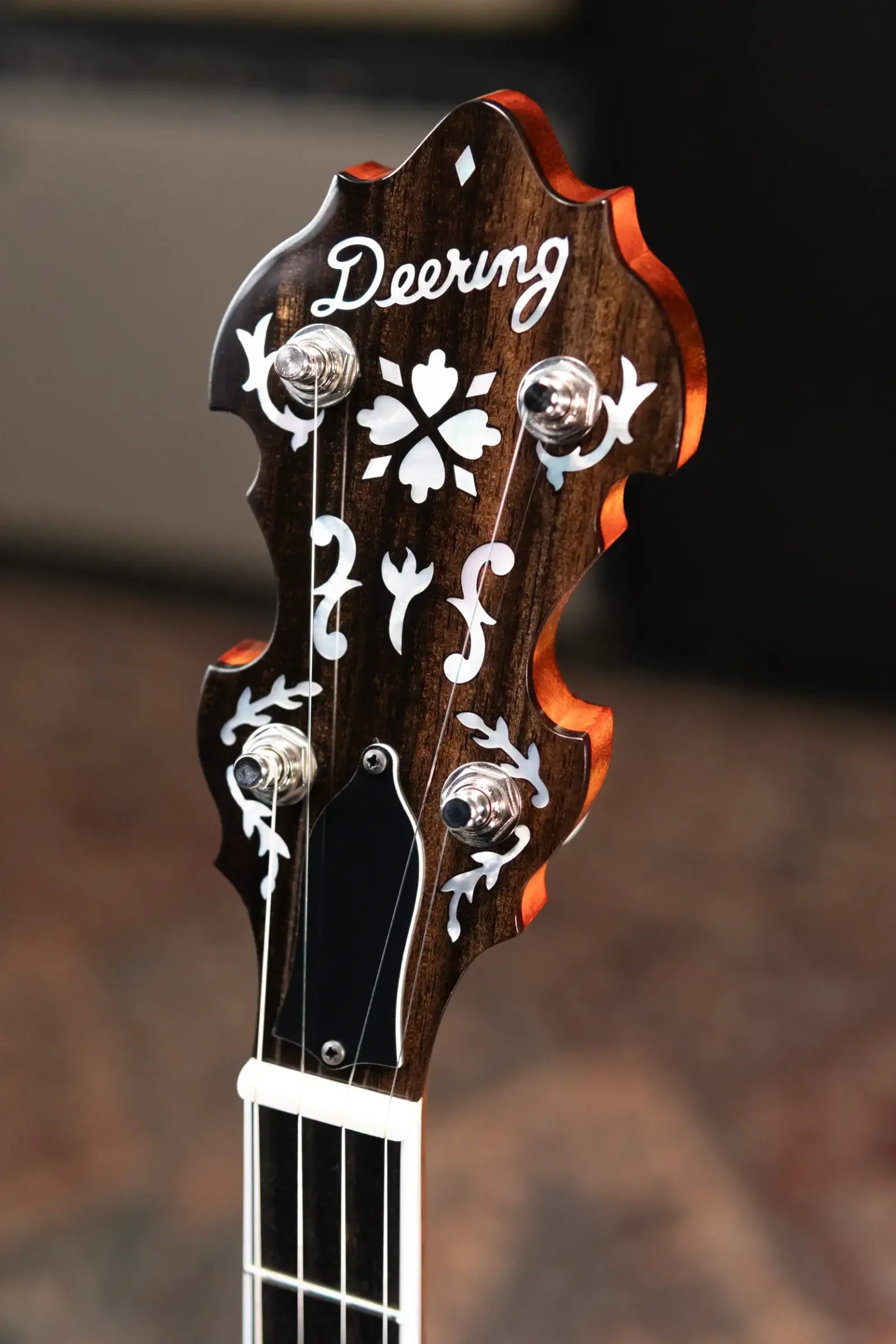 Deering Golden Era 5-String Banjo with Hardshell Case