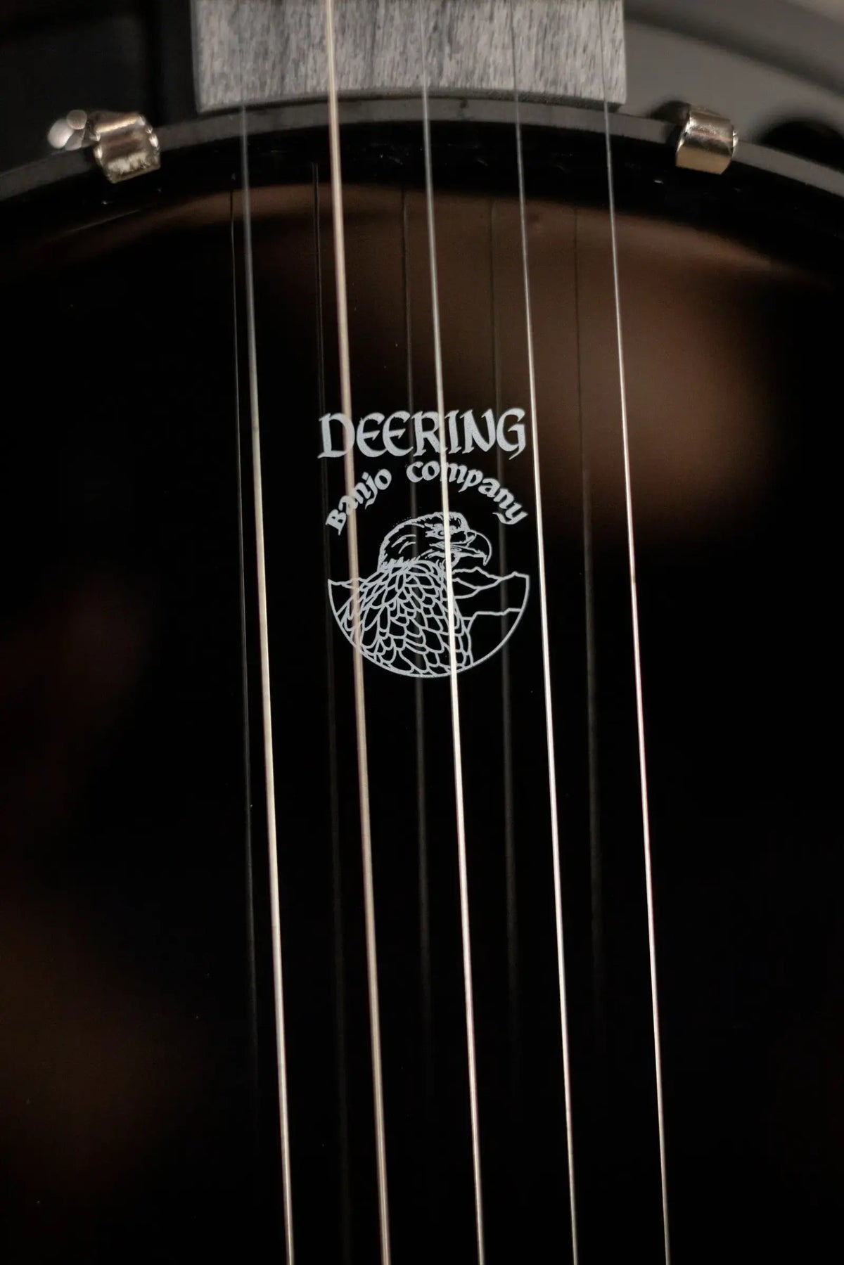 Deering Goodtime Blackgrass Special 5-String Banjo - Black Stain