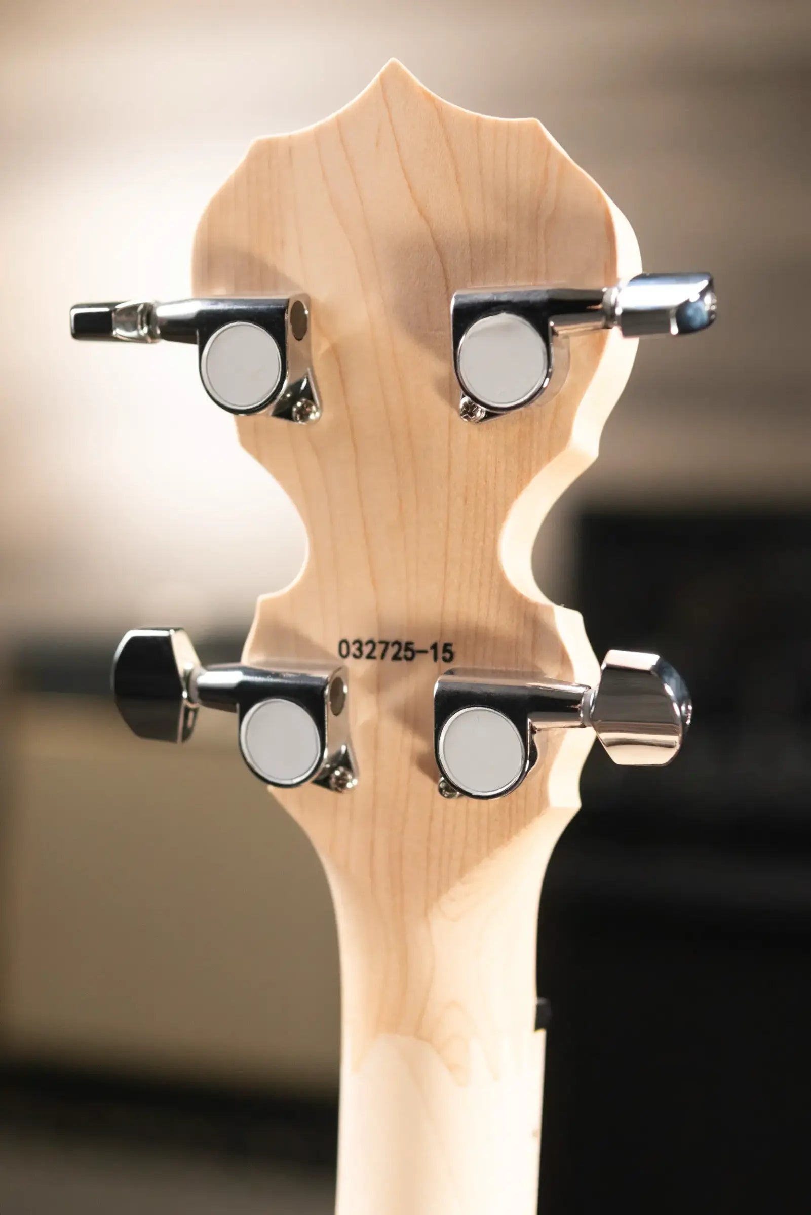 Deering Goodtime Special Banjo with Resonator