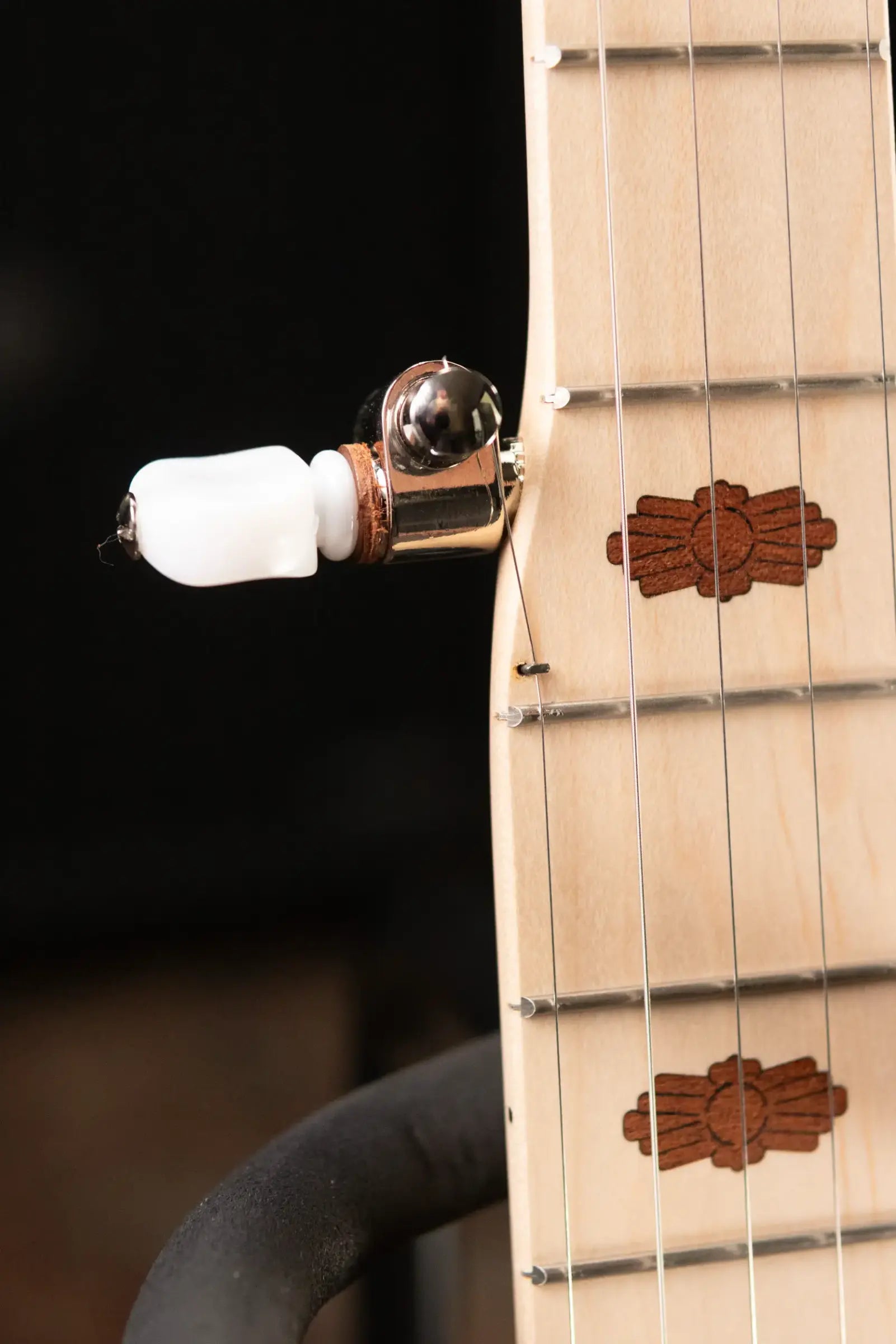Deering Goodtime Special Banjo with Resonator