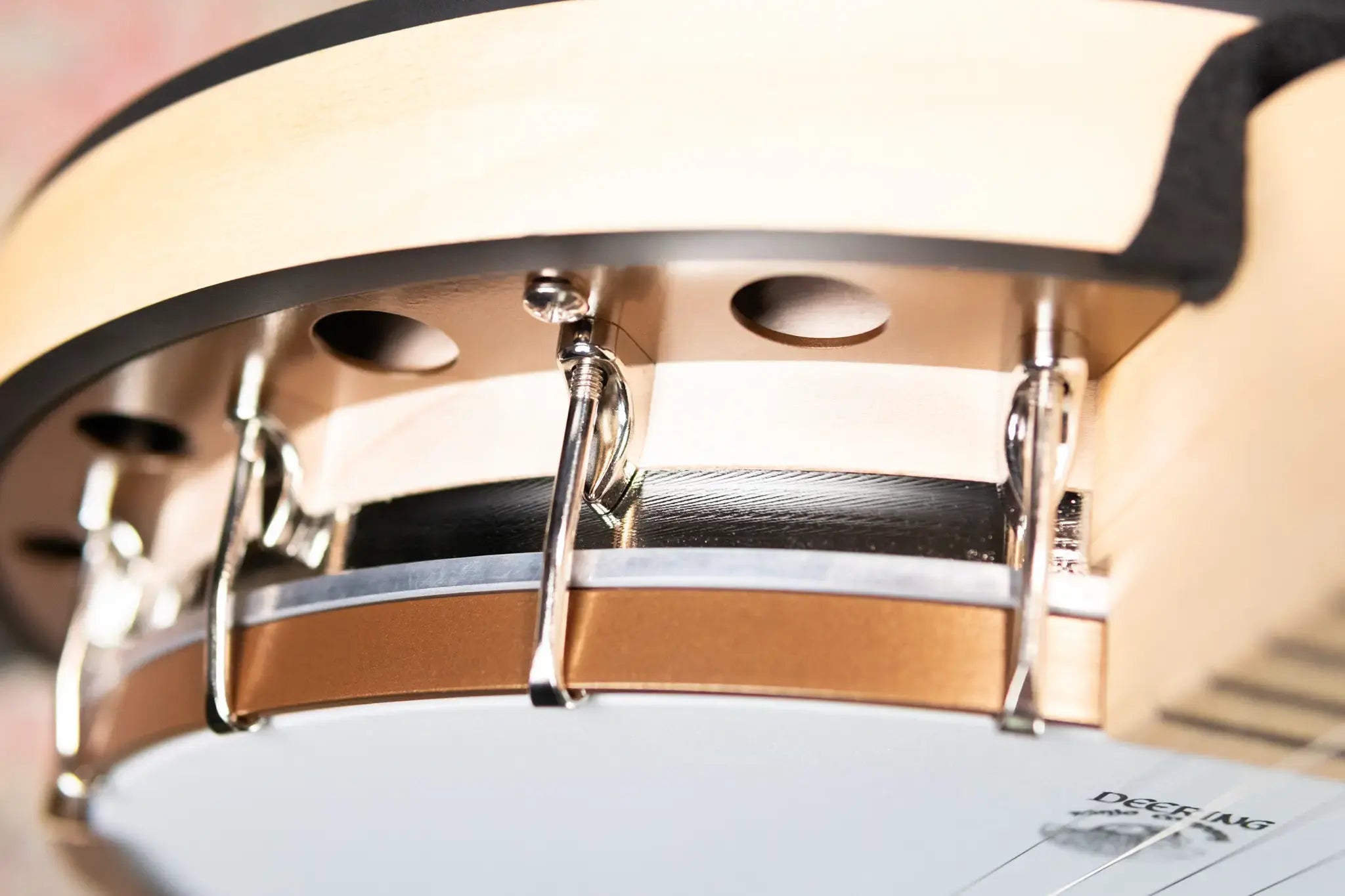 Deering Goodtime Special Banjo with Resonator