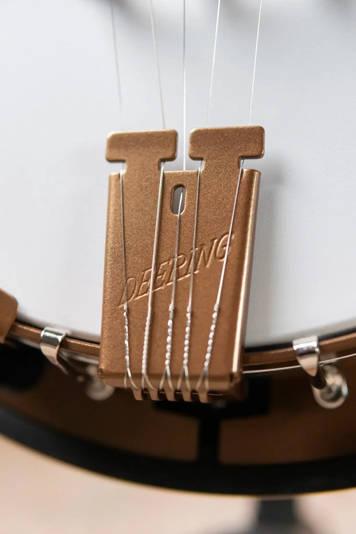 Deering Goodtime Special Banjo with Resonator - Demo
