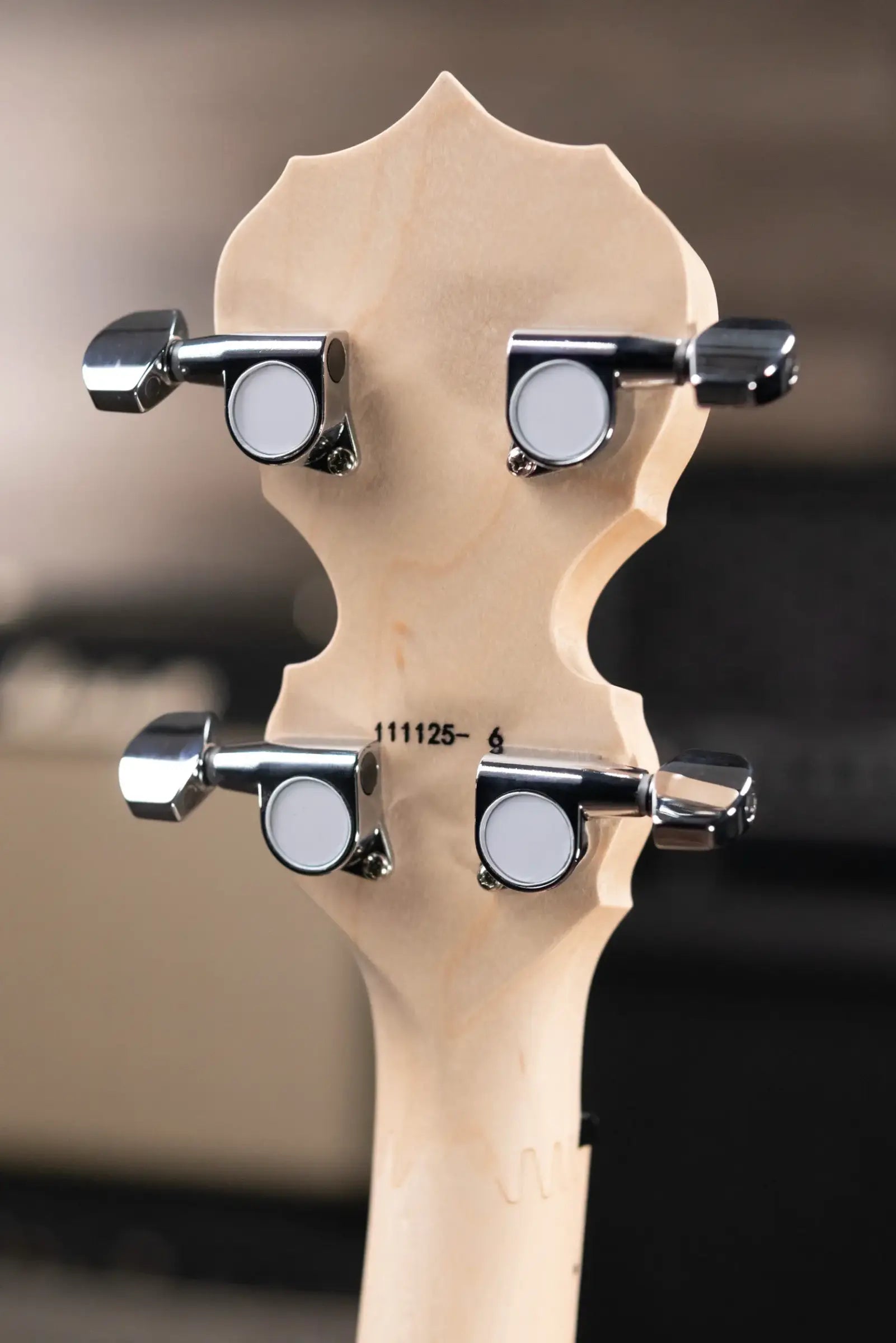 Deering Goodtime Zombie Killer III Limited Edition 5-String Banjo with Resonator