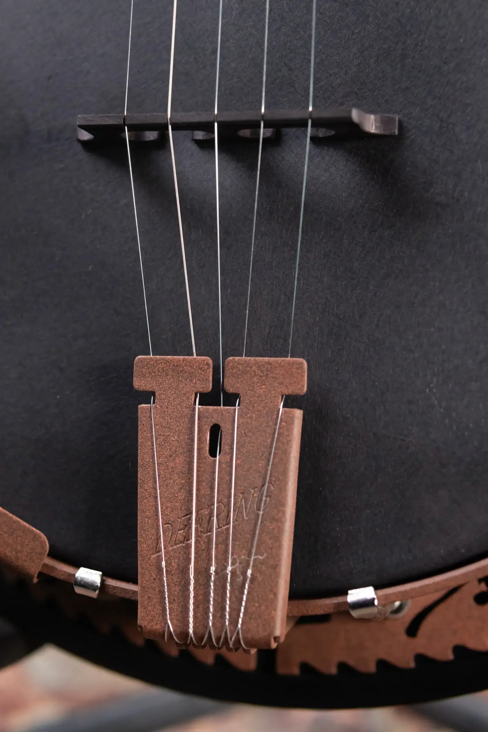 Deering Goodtime Zombie Killer III Limited Edition 5-String Banjo with Resonator