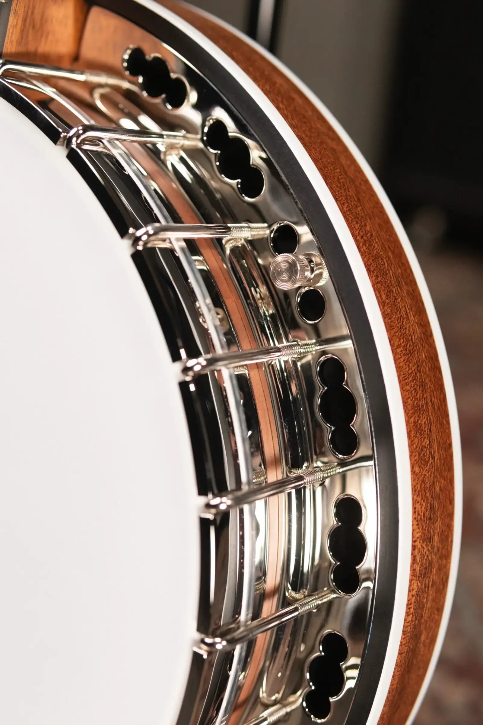 Deering Sierra 5-String Mahogany Banjo with Hardshell Case