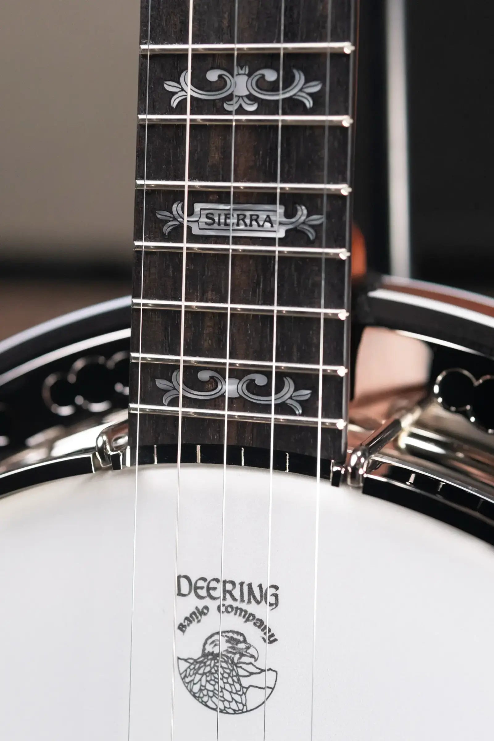 Deering Sierra 5-String Maple Banjo with Hardshell Case