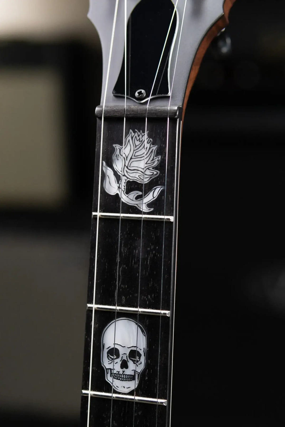 Deering The Scott Avett "Truth" Signature Banjo with Hardshell Case