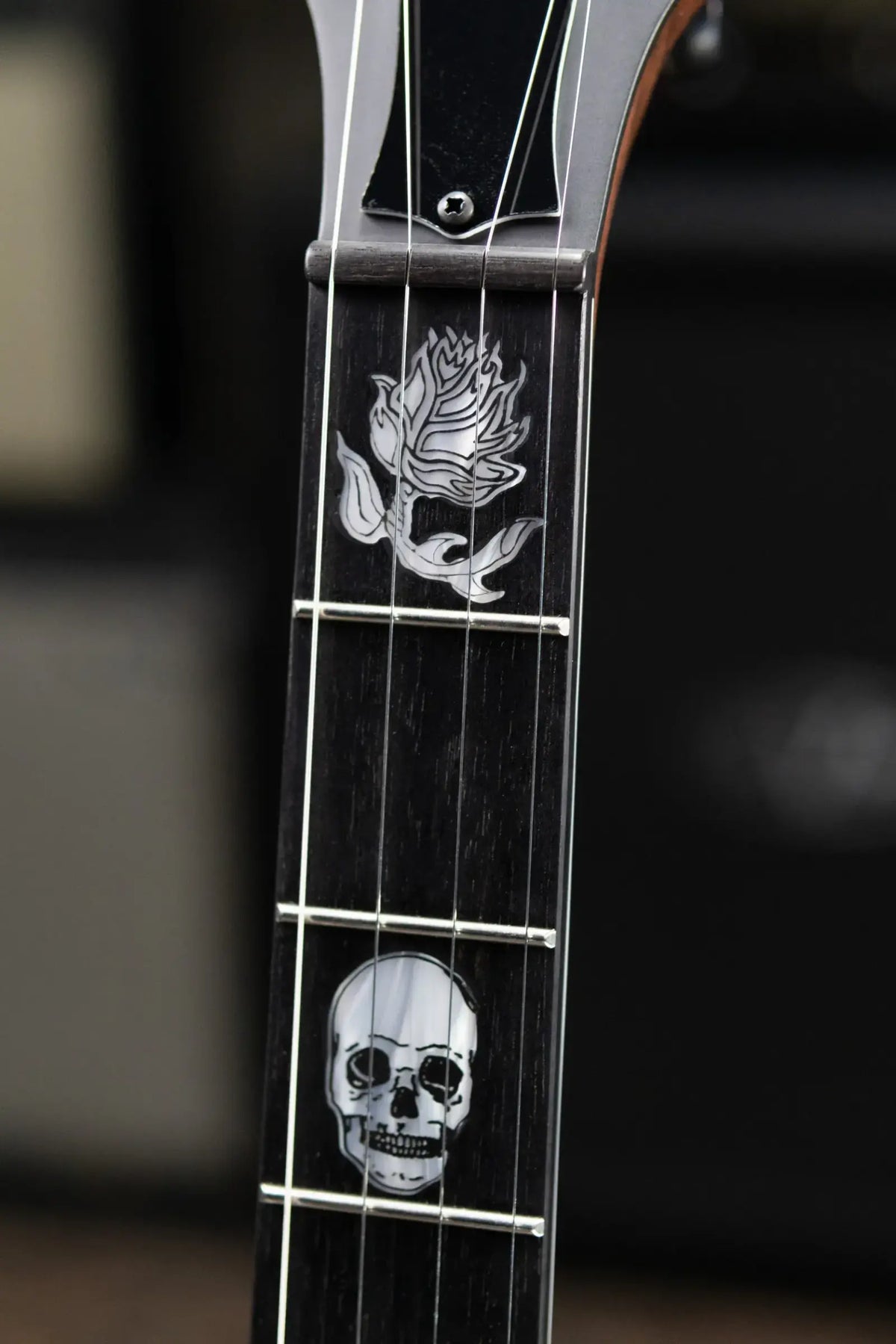 Deering The Scott Avett "Truth" Signature Banjo with Hardshell Case