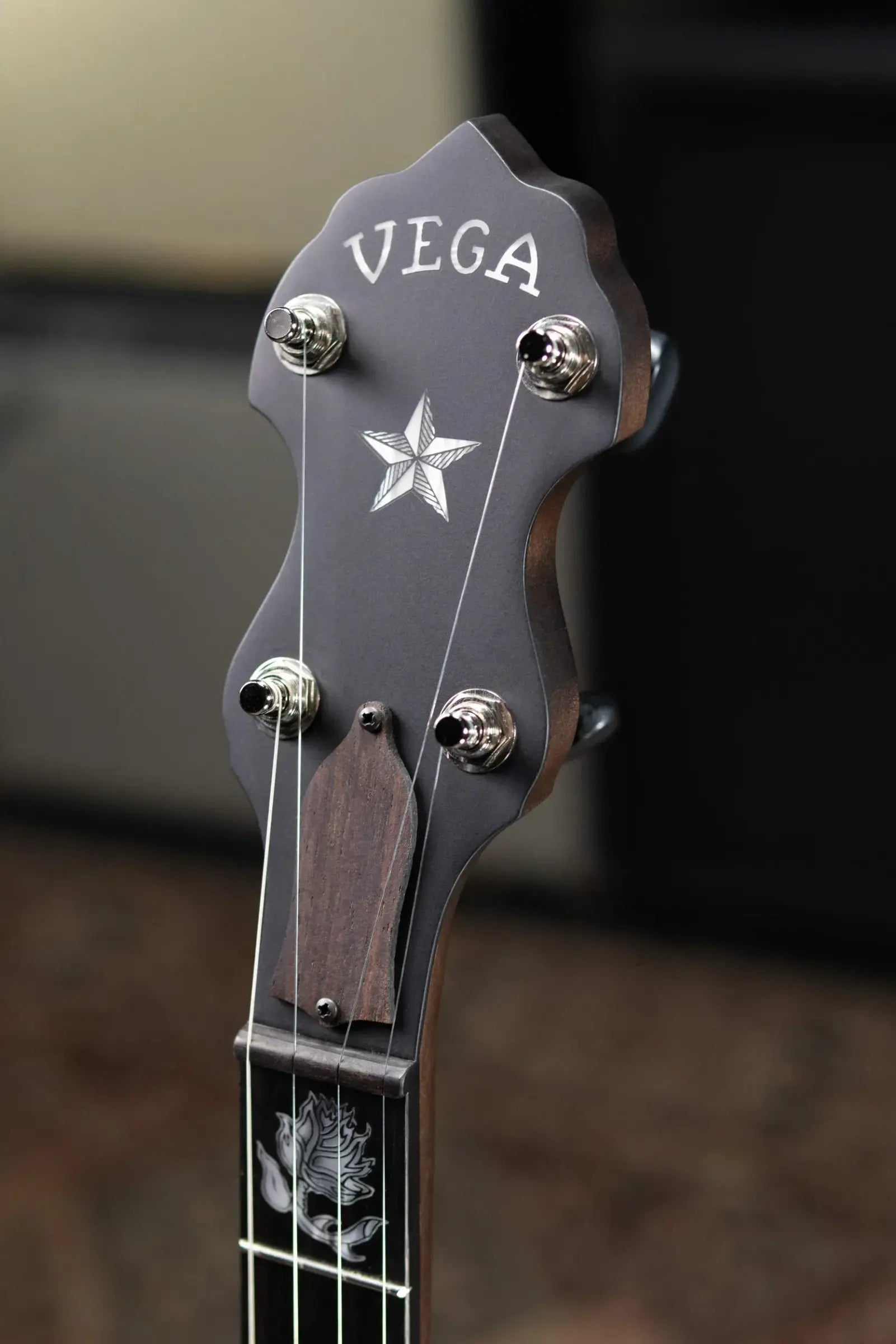 Deering Vega Avett Star Signature Banjo with Hardshell Case