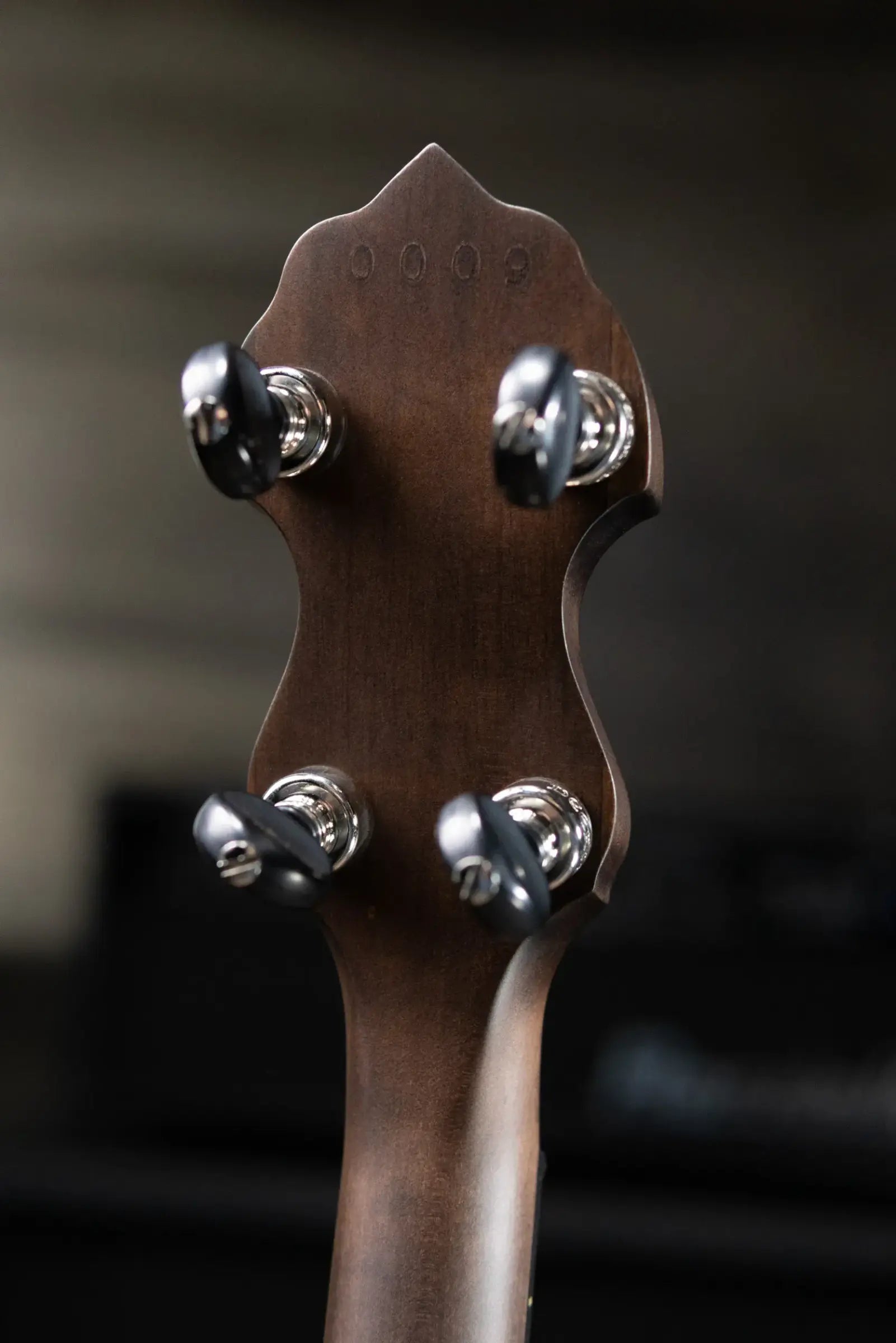 Deering Vega Avett Star Signature Banjo with Hardshell Case