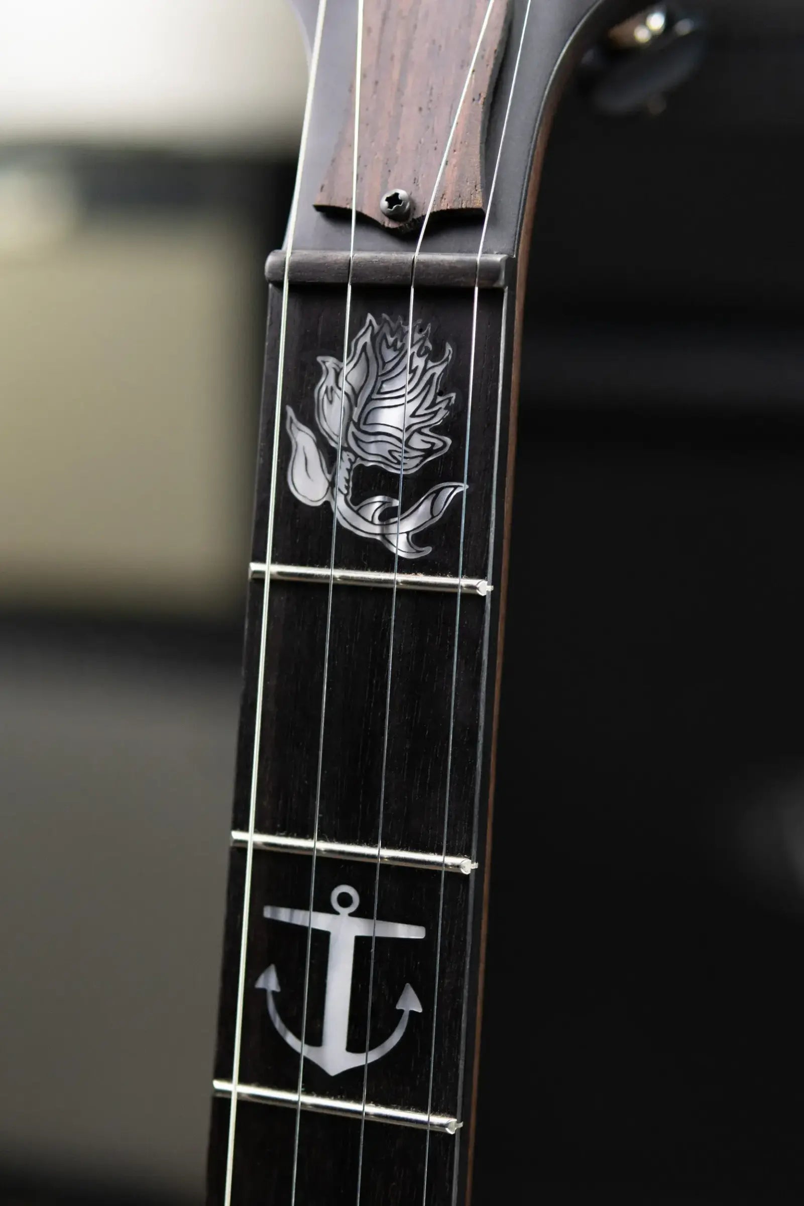 Deering Vega Avett Star Signature Banjo with Hardshell Case