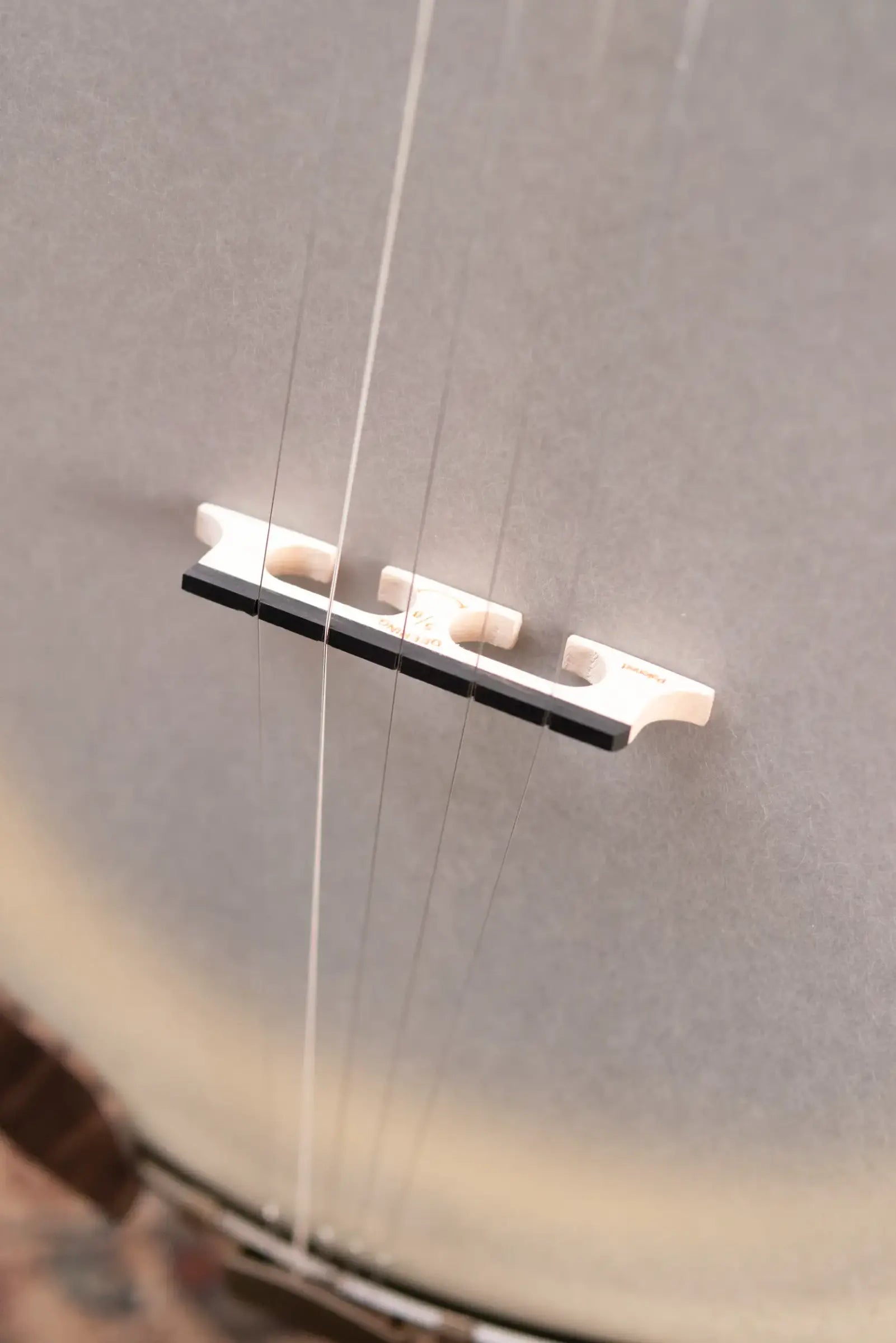 Deering Vega Vintage Star 5 String Banjo with Hardshell Case