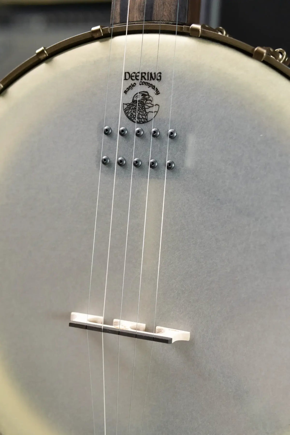 Deering Vega Vintage Star 5-String Banjo with Kavanjo Pickup and Hardshell Case