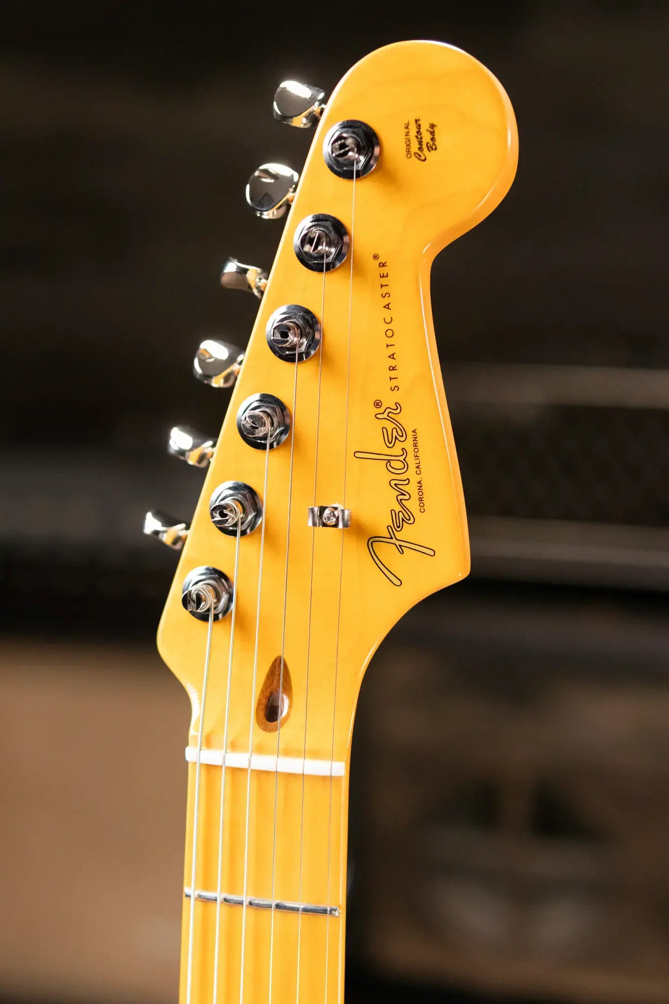 Fender American Professional Classic Stratocaster Electric Guitar - Faded Lake Placid Blue with Gig Bag