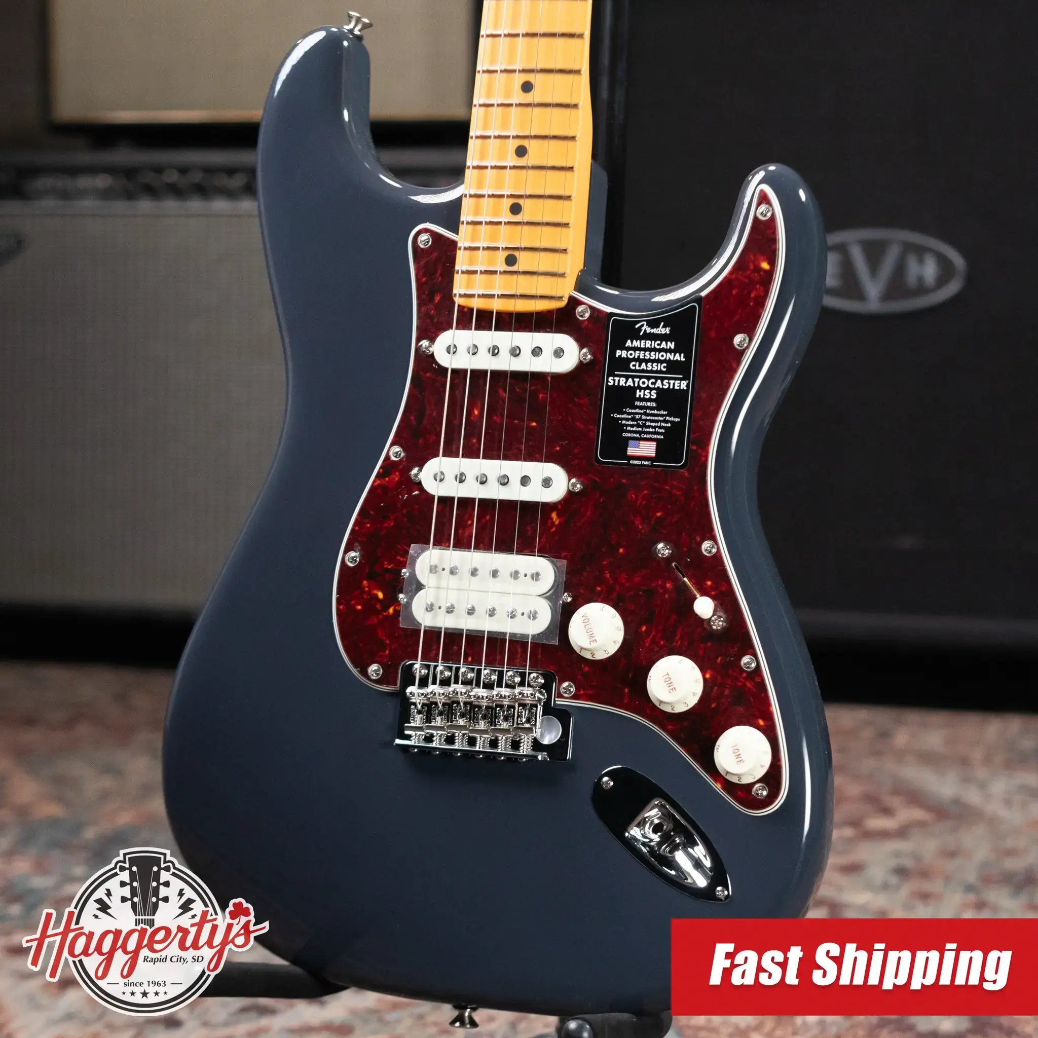Fender American Professional Classic Stratocaster HSS Electric Guitar - Faded Black with Gig Bag