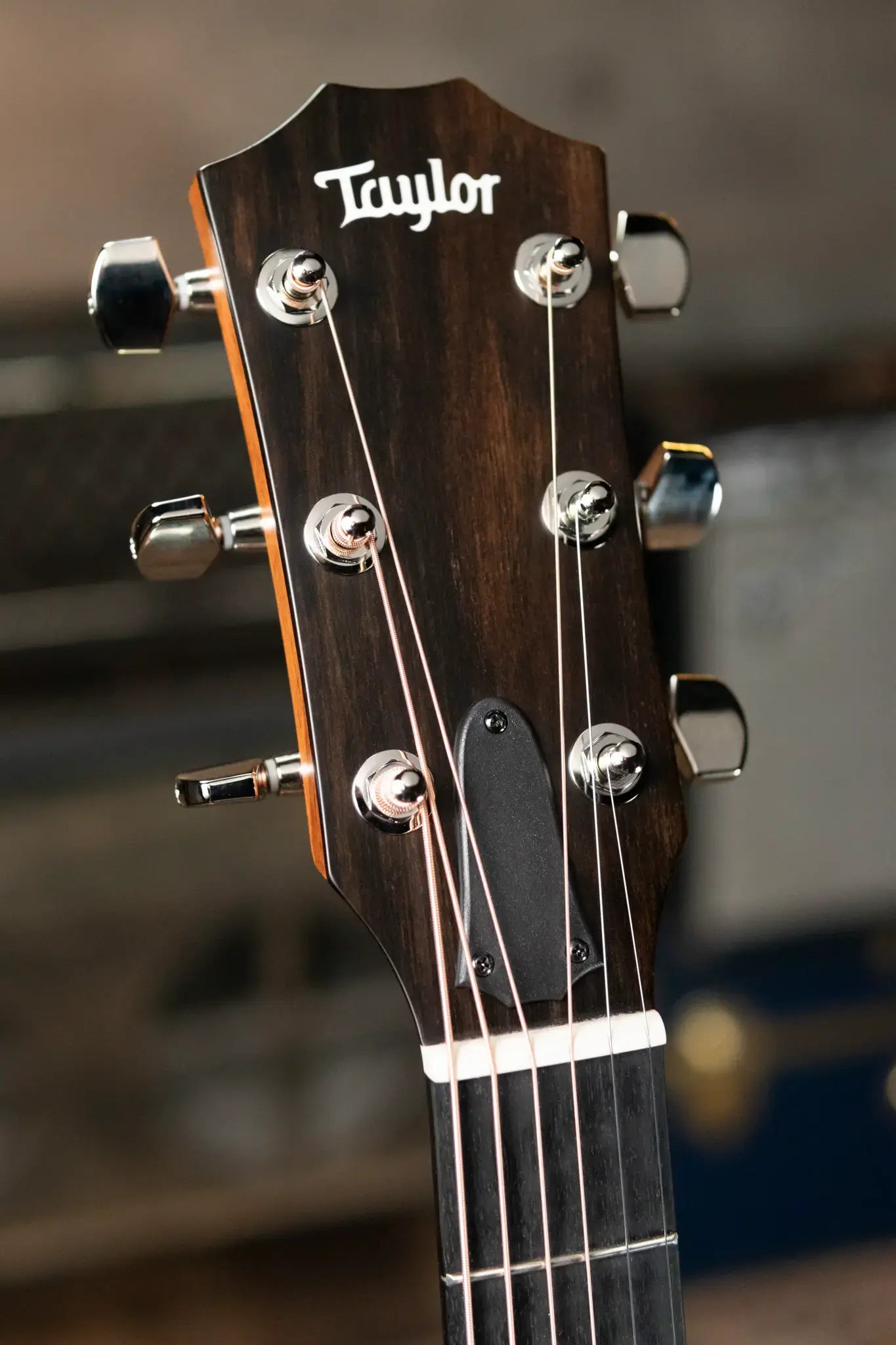 Taylor 314ce Studio Special Edition Grand Auditorium Acoustic/Electric with Hardshell Case