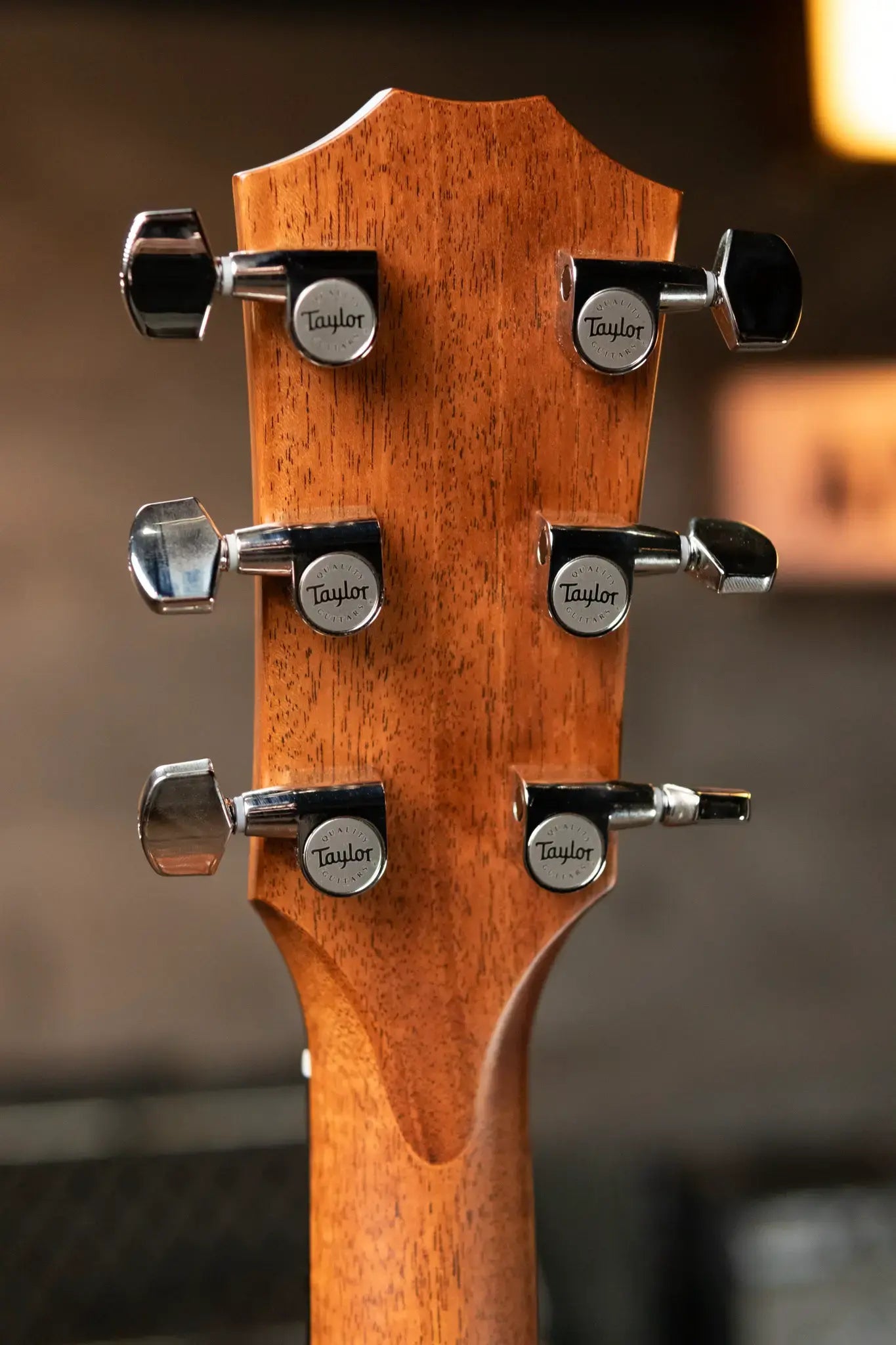 Taylor 314ce Studio Special Edition Grand Auditorium Acoustic/Electric with Hardshell Case