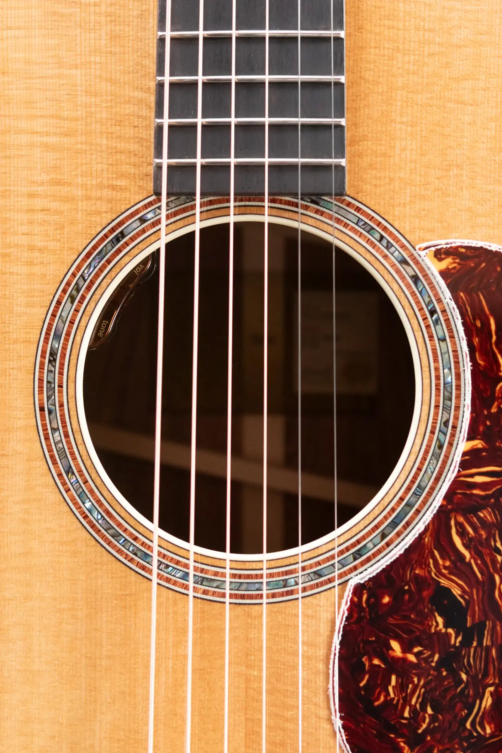 Taylor Gold Label 810e Dreadnought Acoustic/Electric Guitar with Hardshell Case