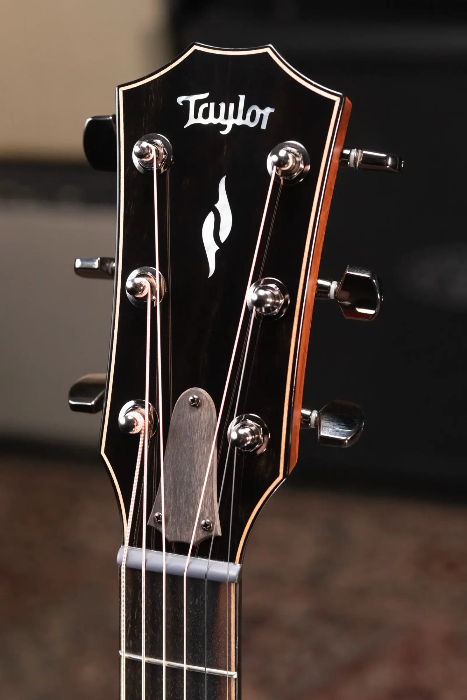 Taylor 814ce LTD Cocobolo Grand Auditorium Acoustic/Electric Guitar with Hardshell Case