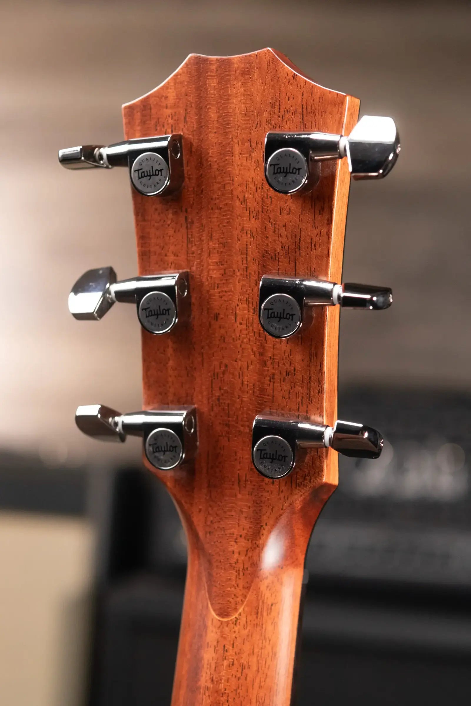 Taylor 814ce LTD Cocobolo Grand Auditorium Acoustic/Electric Guitar with Hardshell Case