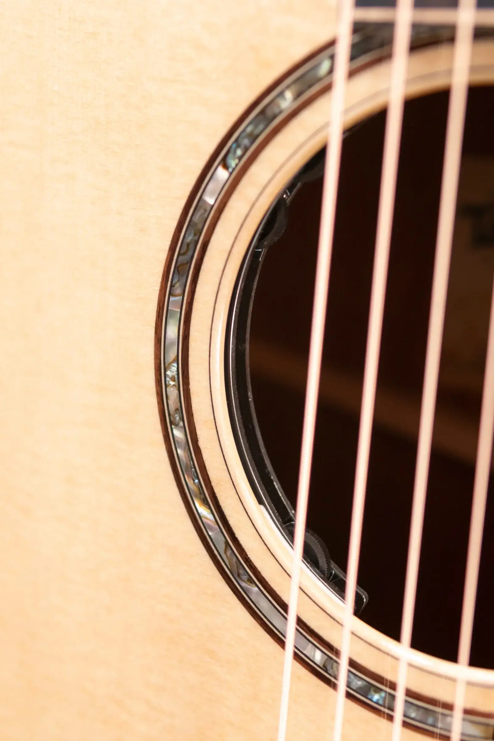 Taylor 814ce LTD Cocobolo Grand Auditorium Acoustic/Electric Guitar with Hardshell Case
