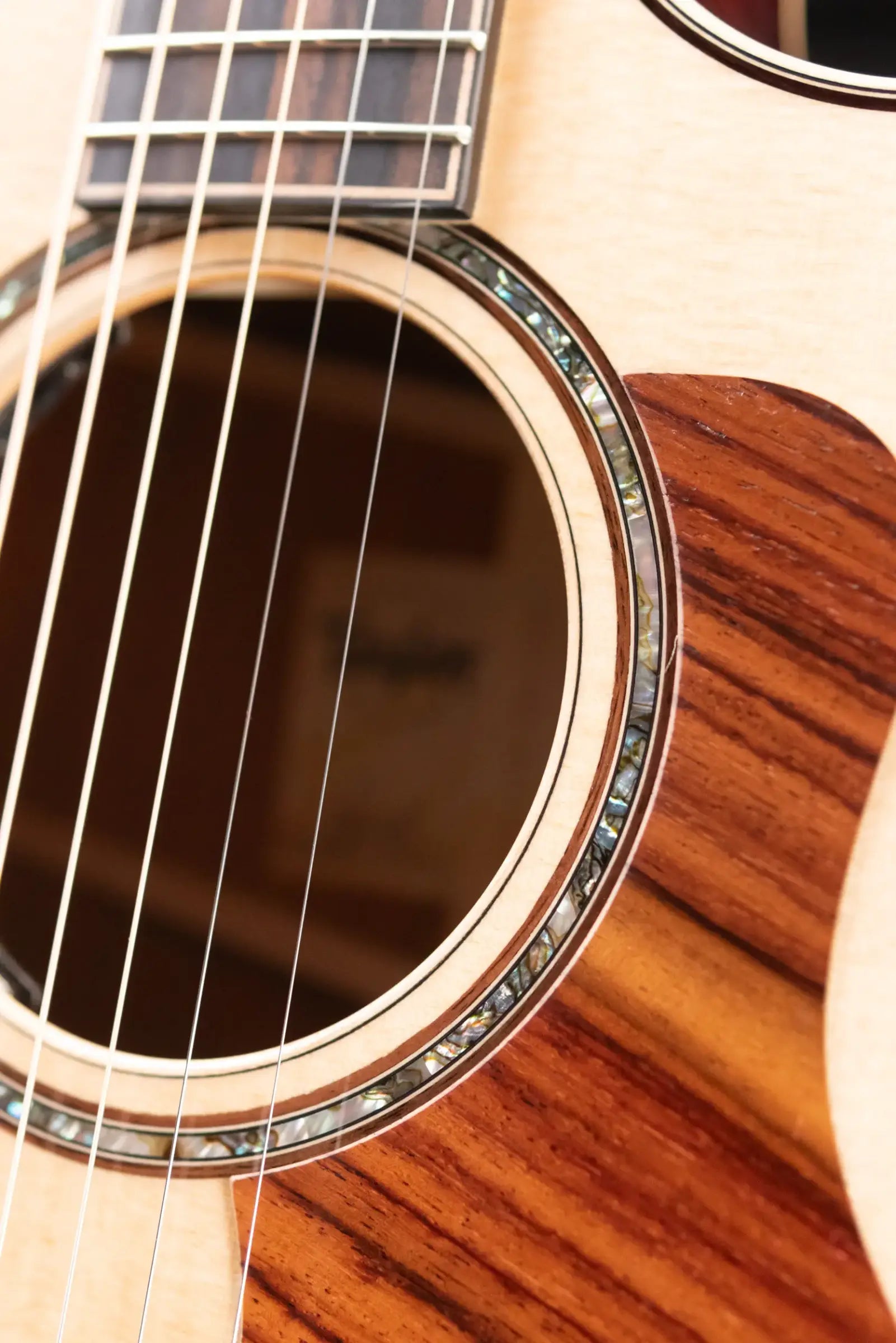 Taylor 814ce LTD Cocobolo Grand Auditorium Acoustic/Electric Guitar with Hardshell Case