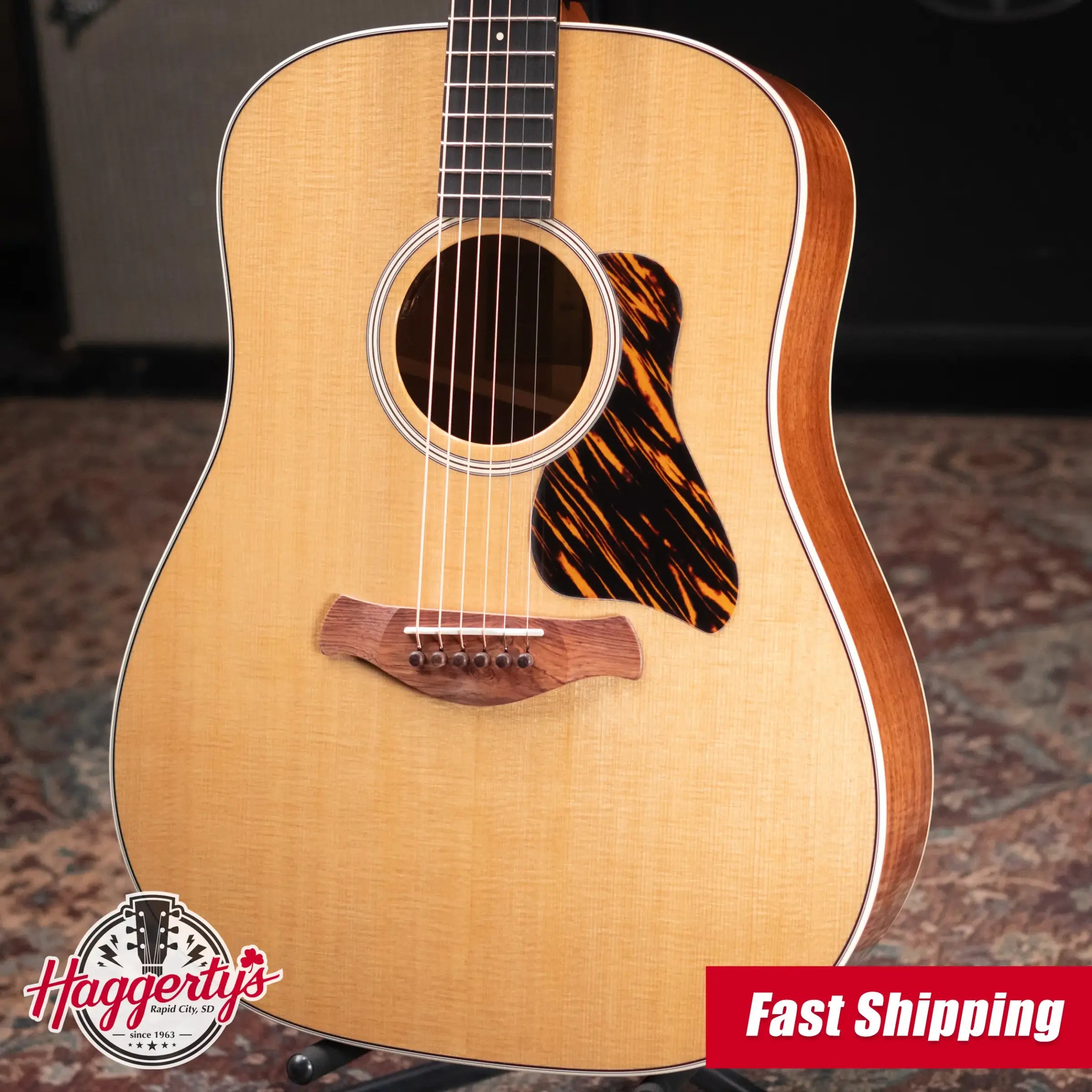 Taylor Gold Label 510e Dreadnought Acoustic/Electric Guitar with Hardshell Case