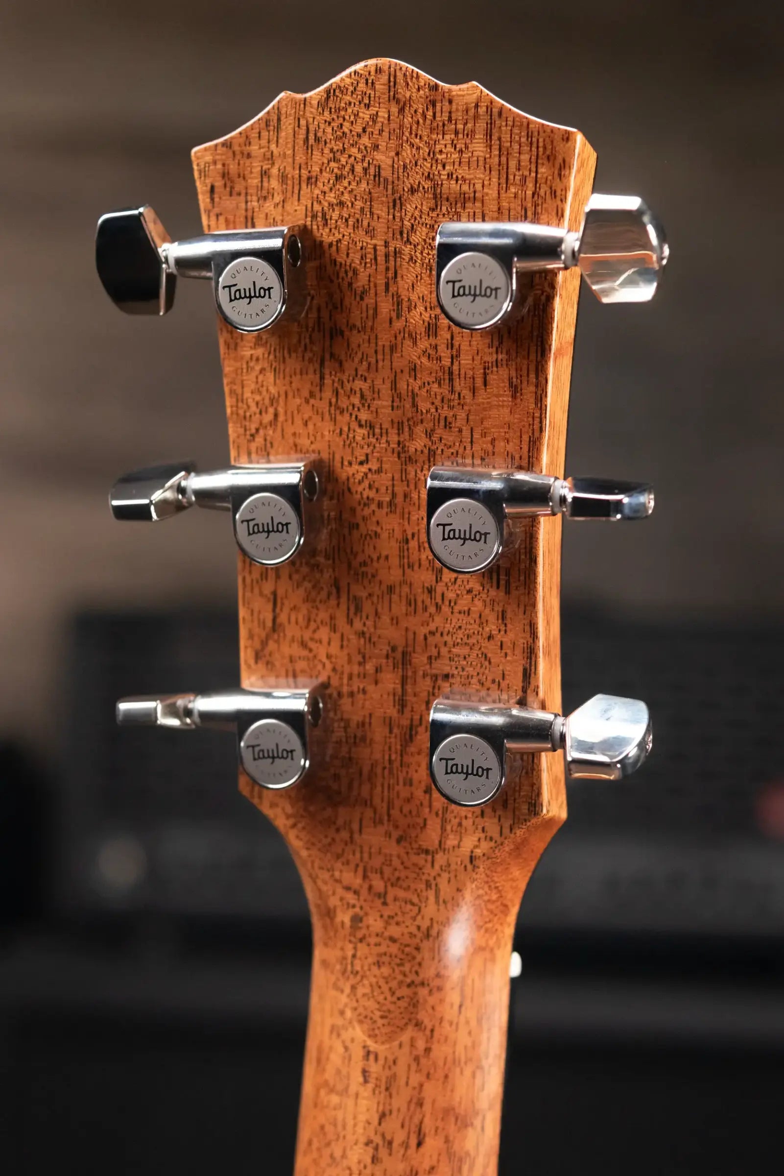 Taylor Gold Label 510e Dreadnought Acoustic/Electric Guitar with Hardshell Case