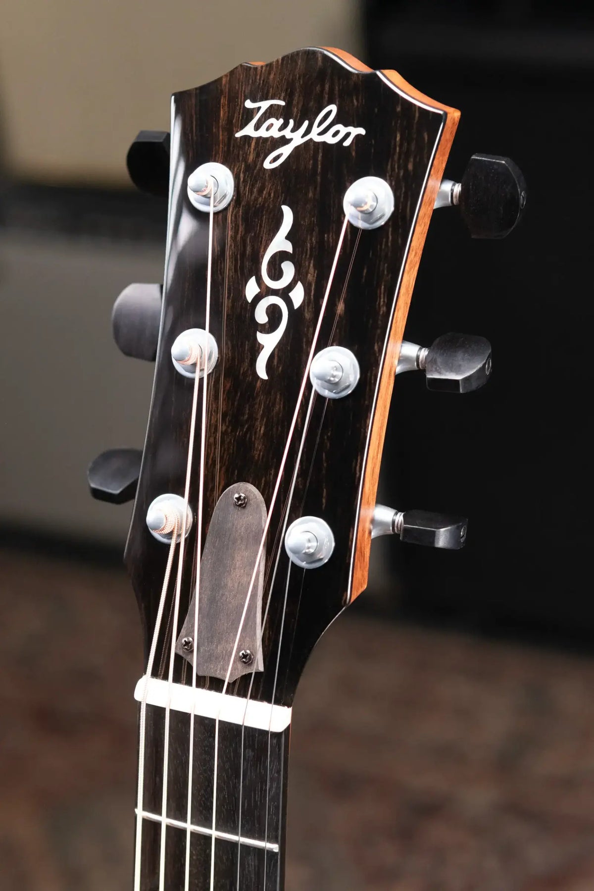 Taylor Gold Label 810e Dreadnought Acoustic/Electric Guitar with Hardshell Case - Demo