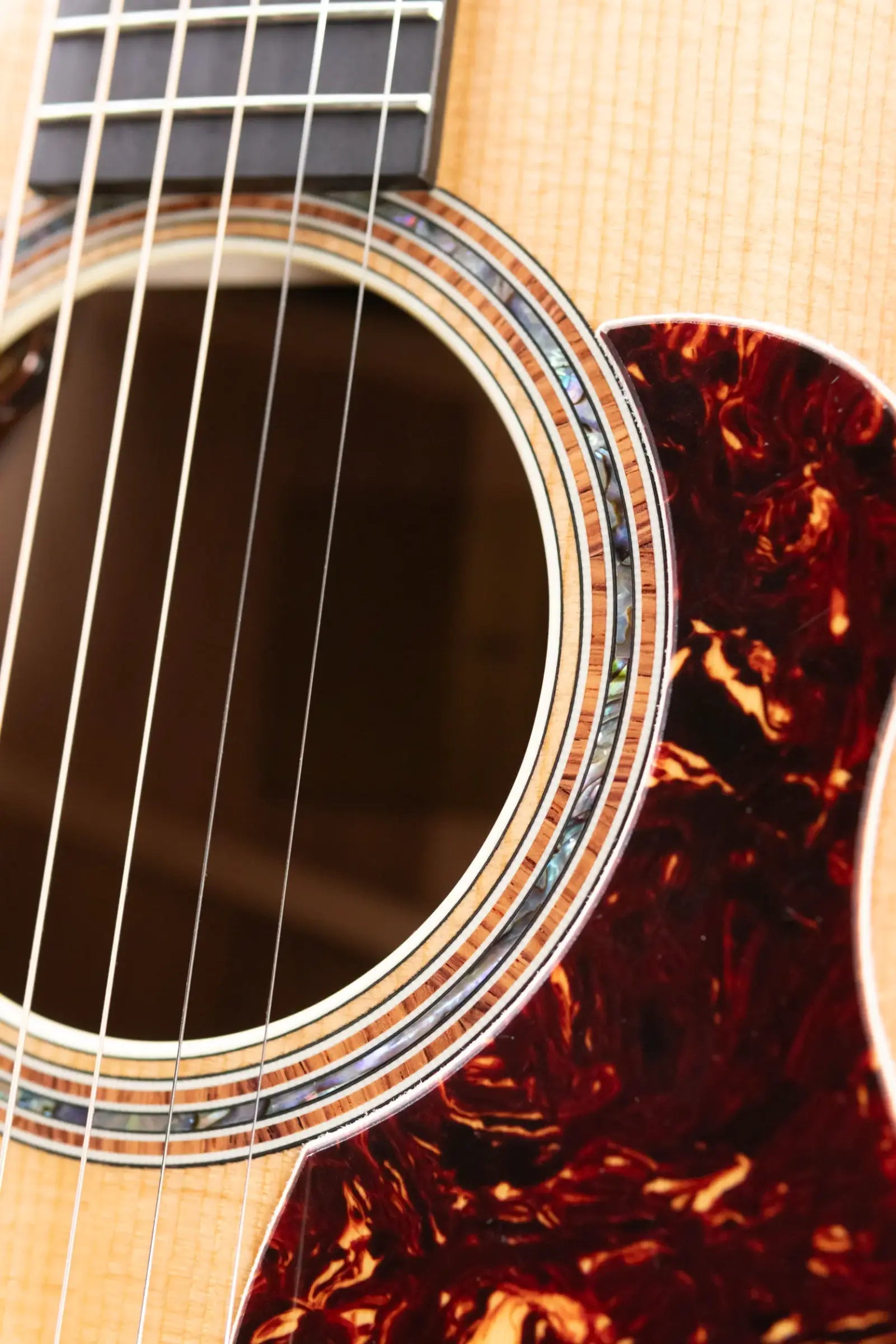 Taylor Gold Label 810e Dreadnought Acoustic/Electric Guitar with Hardshell Case