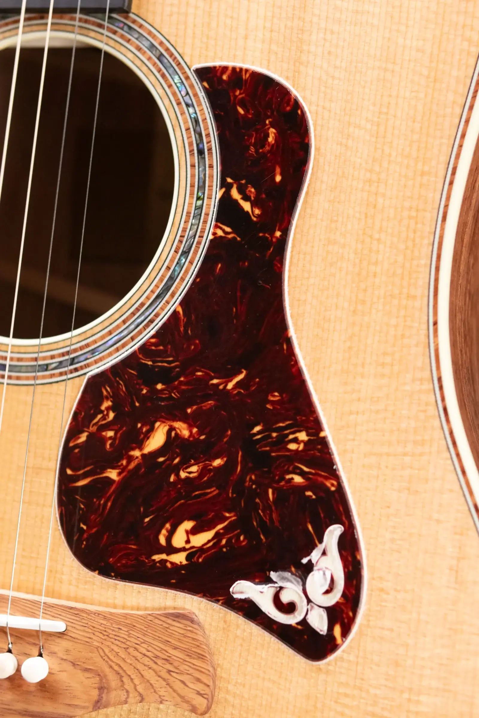 Taylor Gold Label 810e Dreadnought Acoustic/Electric Guitar with Hardshell Case