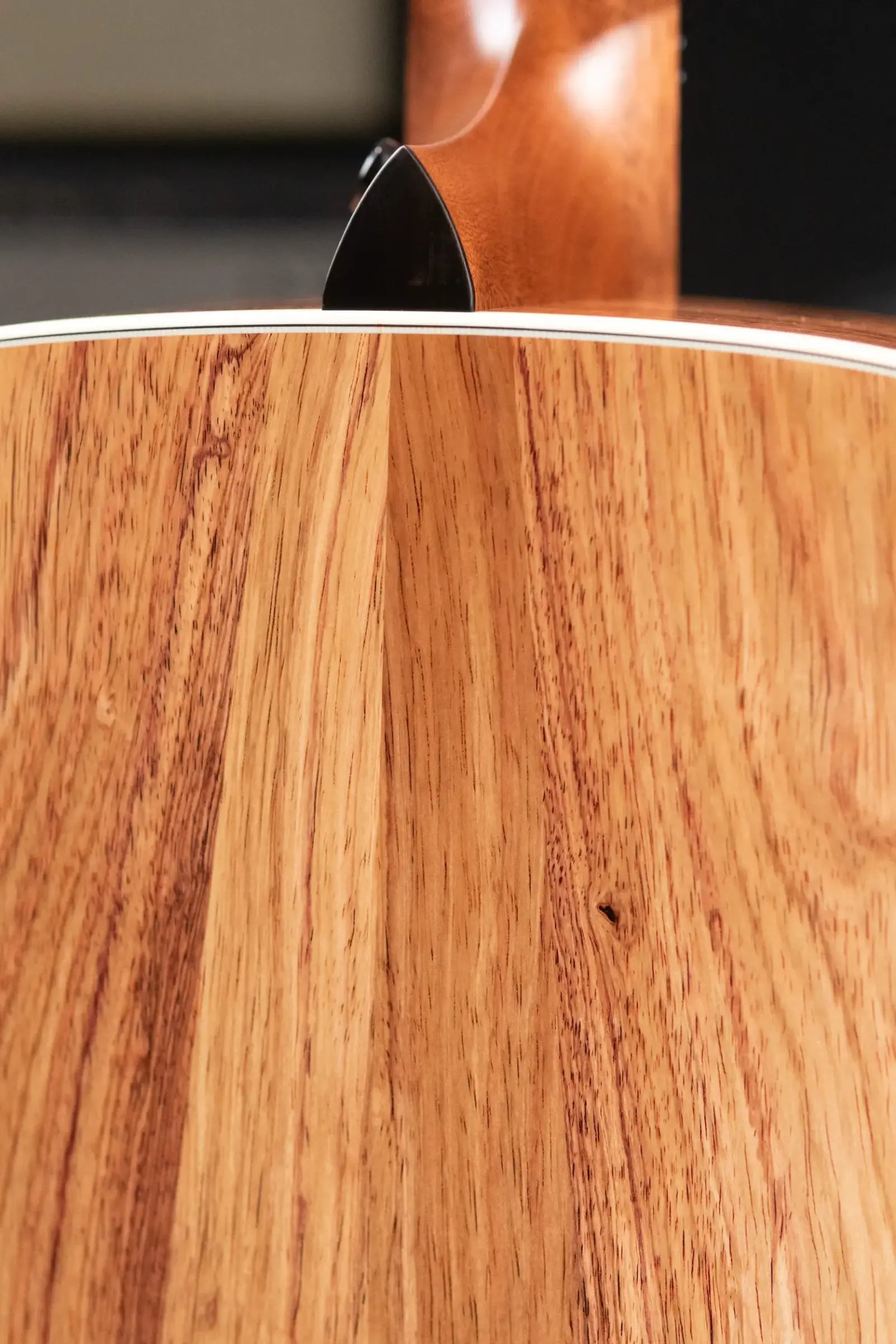 Taylor Gold Label 810e Dreadnought Acoustic/Electric Guitar with Hardshell Case