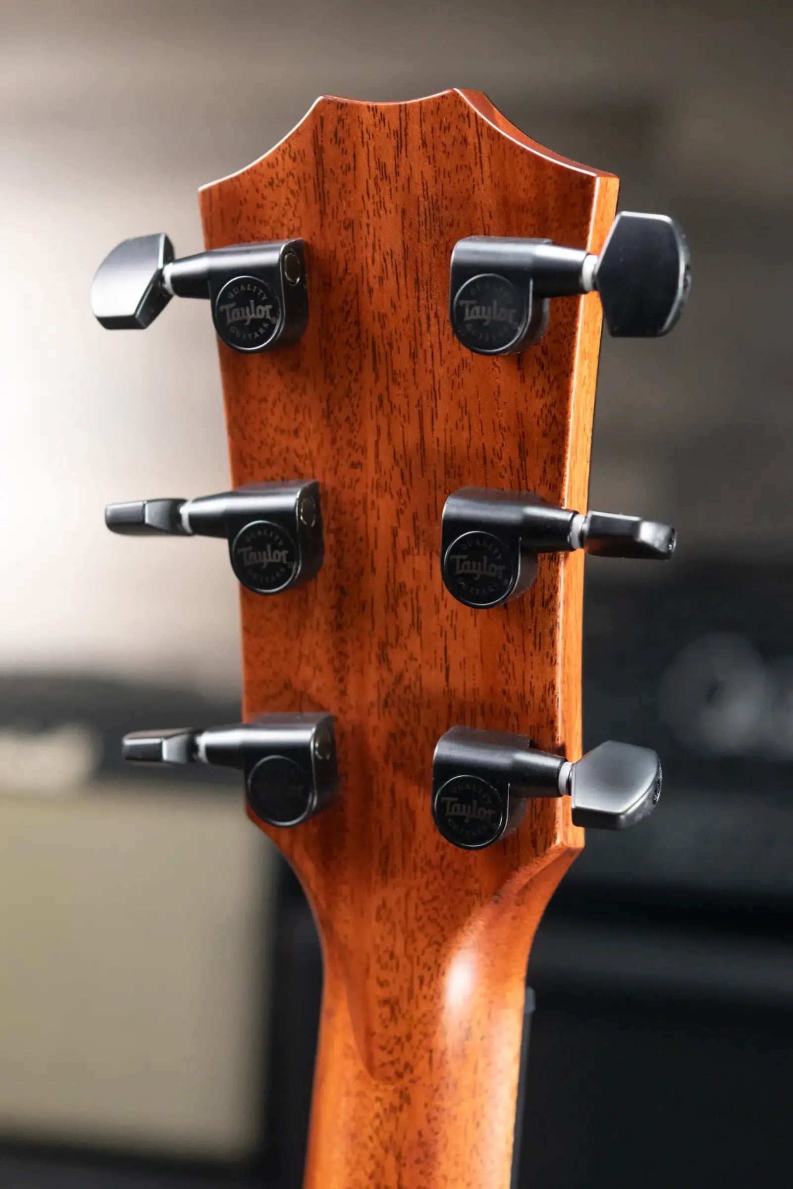 Taylor Next Generation 324ce Grand Auditorium Acoustic/Electric Guitar - Shaded Edgeburst with Hardshell Case